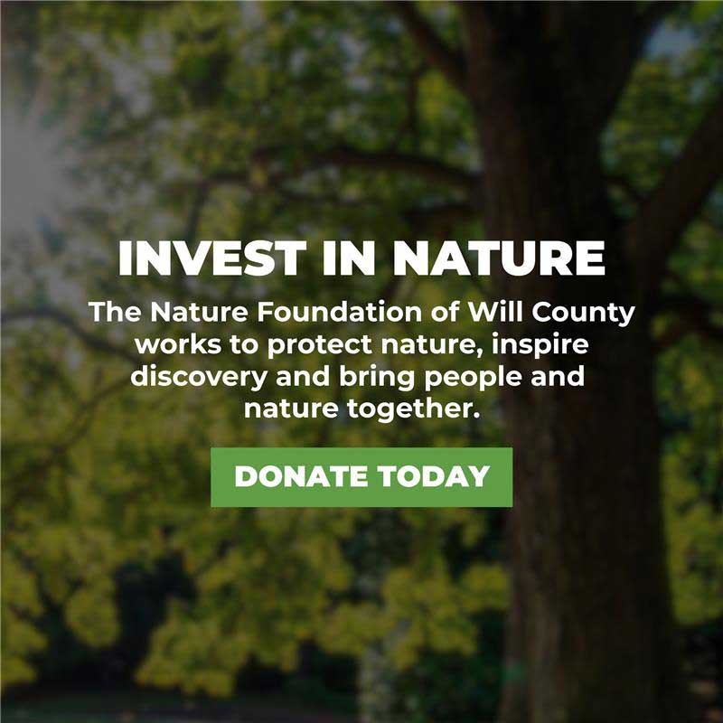 Invest banner image with donate today button