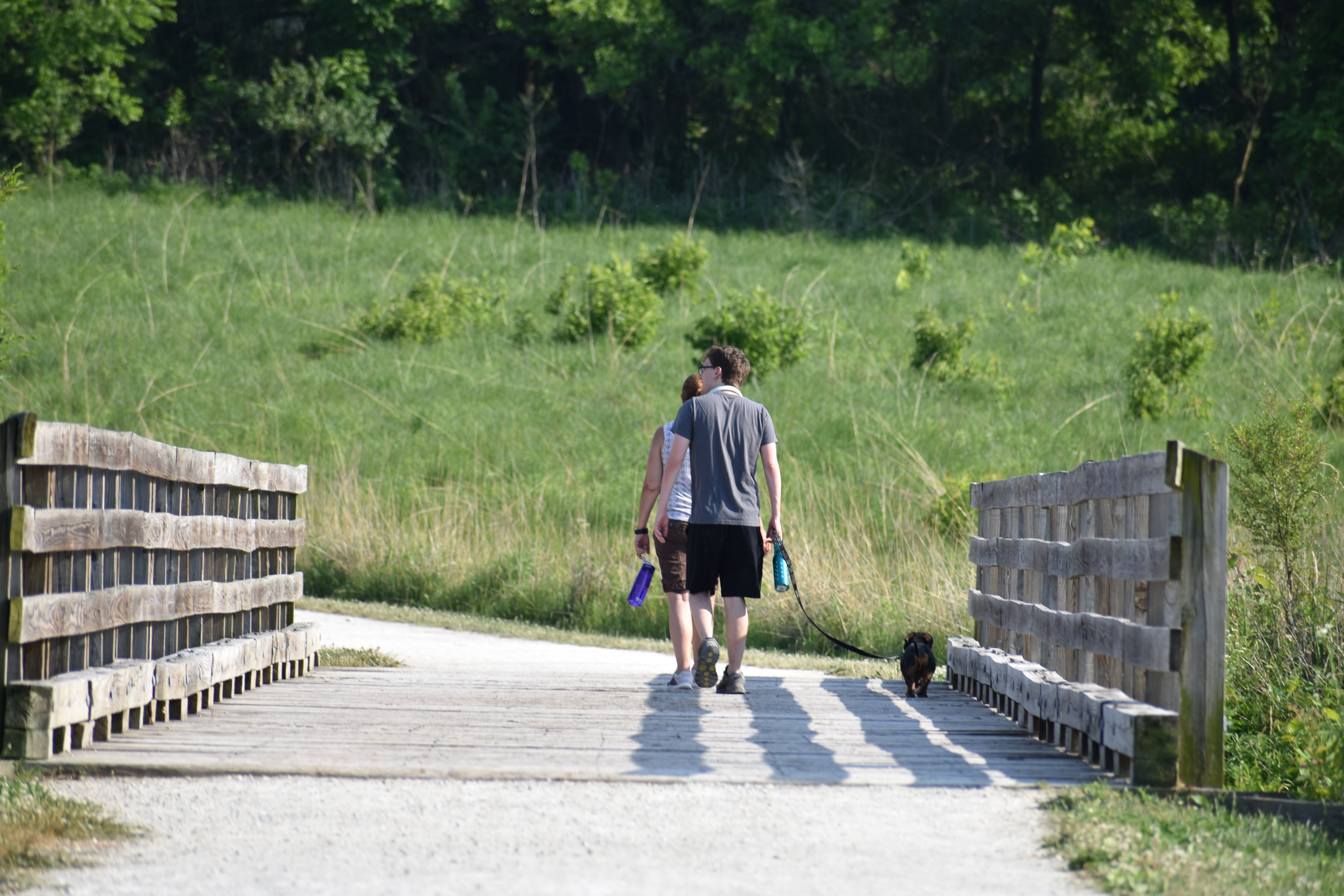 a man and woman walking a dog on a bridge