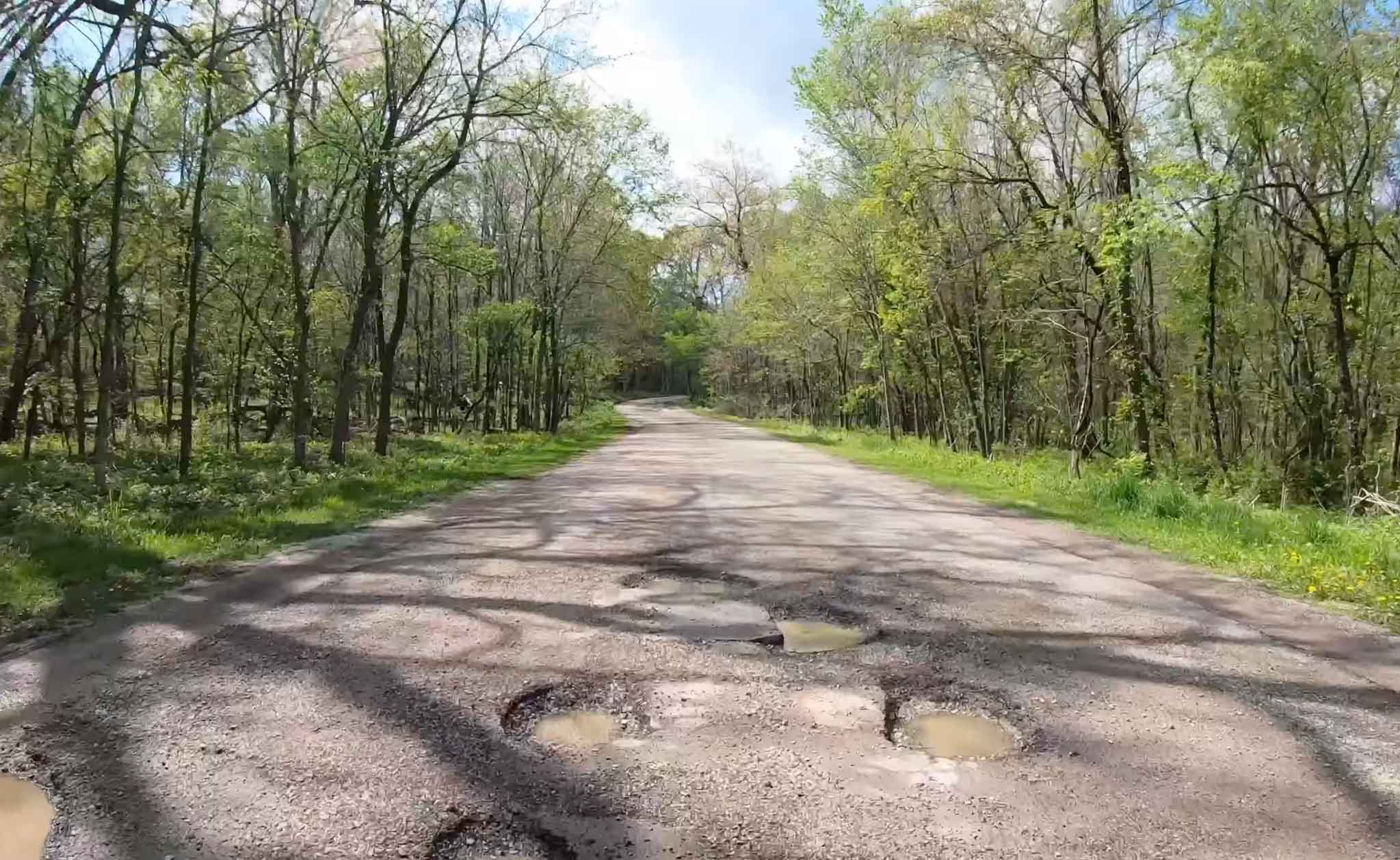 A tree-lined roadway filled with potholes. 