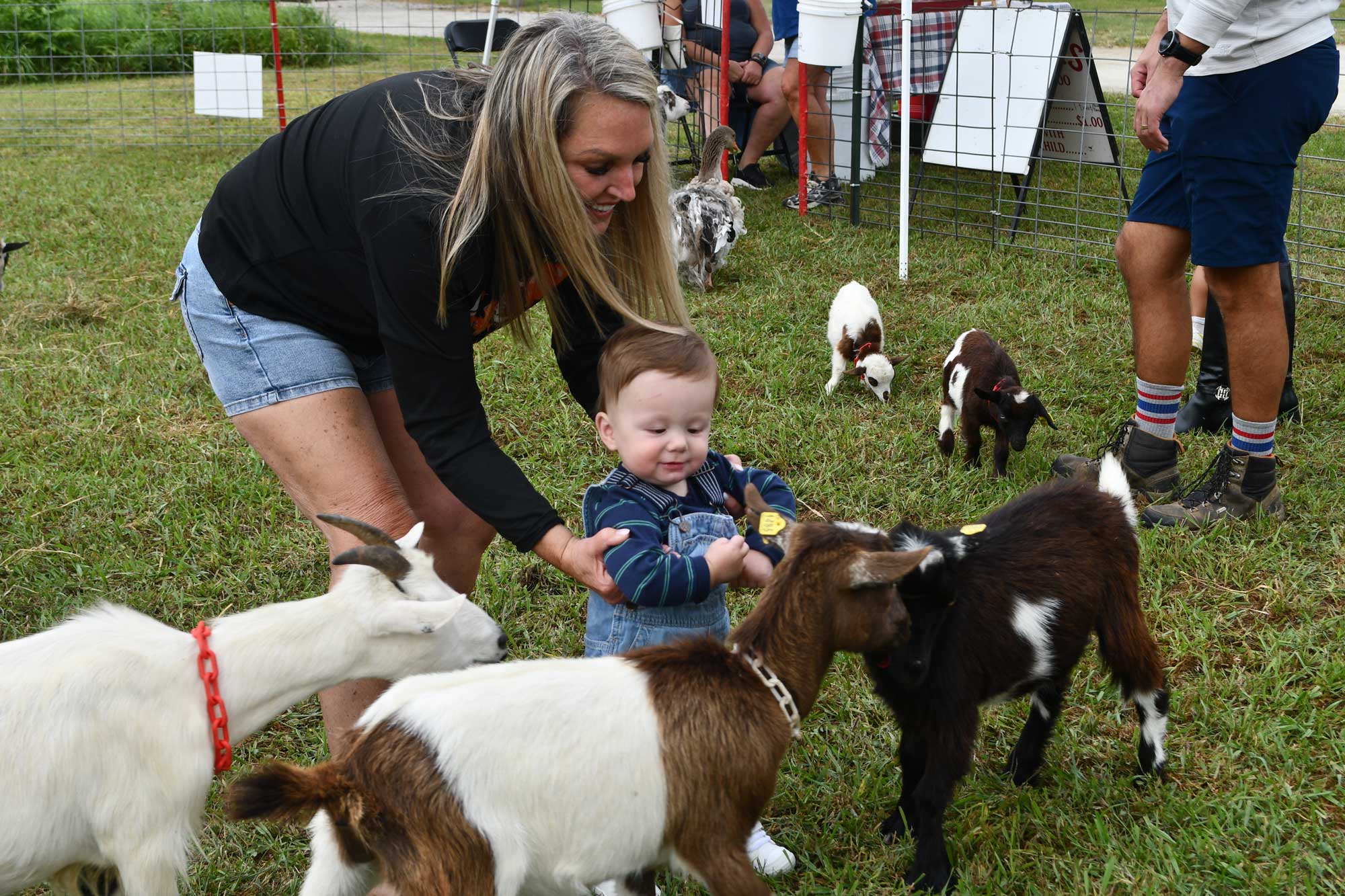 A young child petting goats with the help of an adult. 