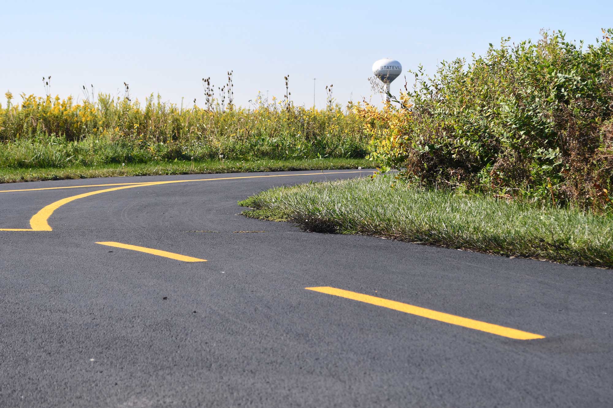 Prairie plants with a paved path. 