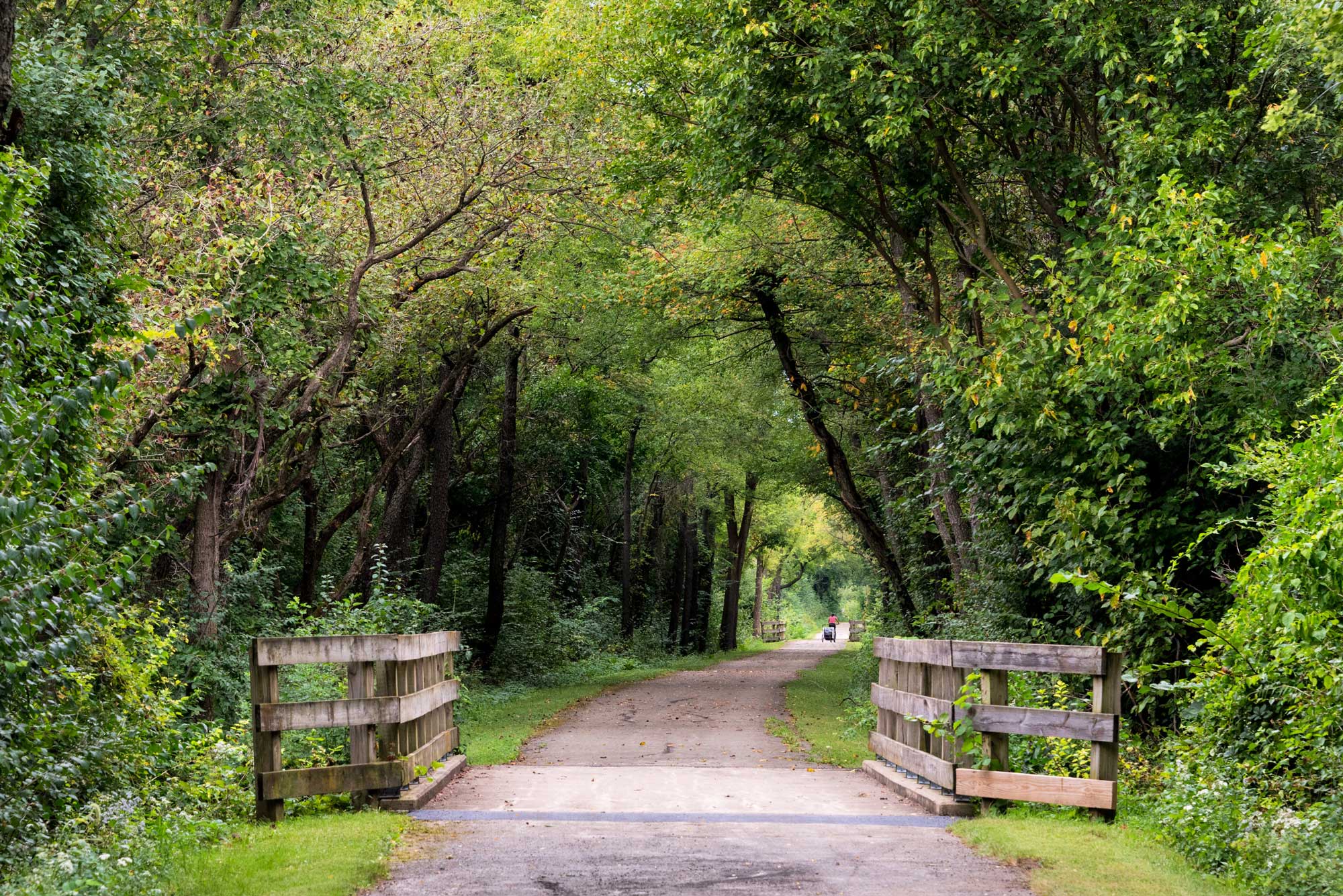 Person biking in the distance on a paved trail.