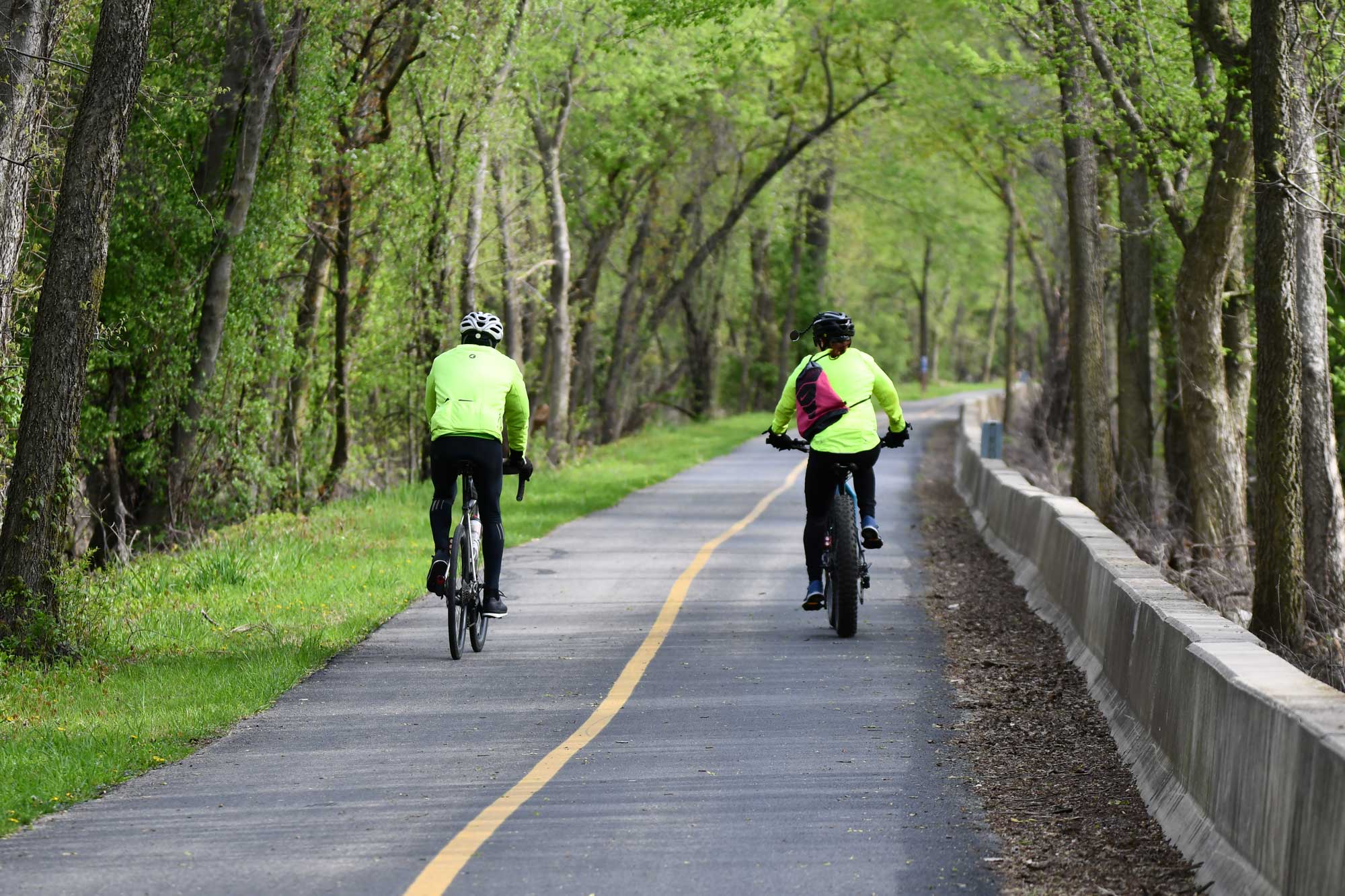 People biking on paved trail lined with grass and trees.