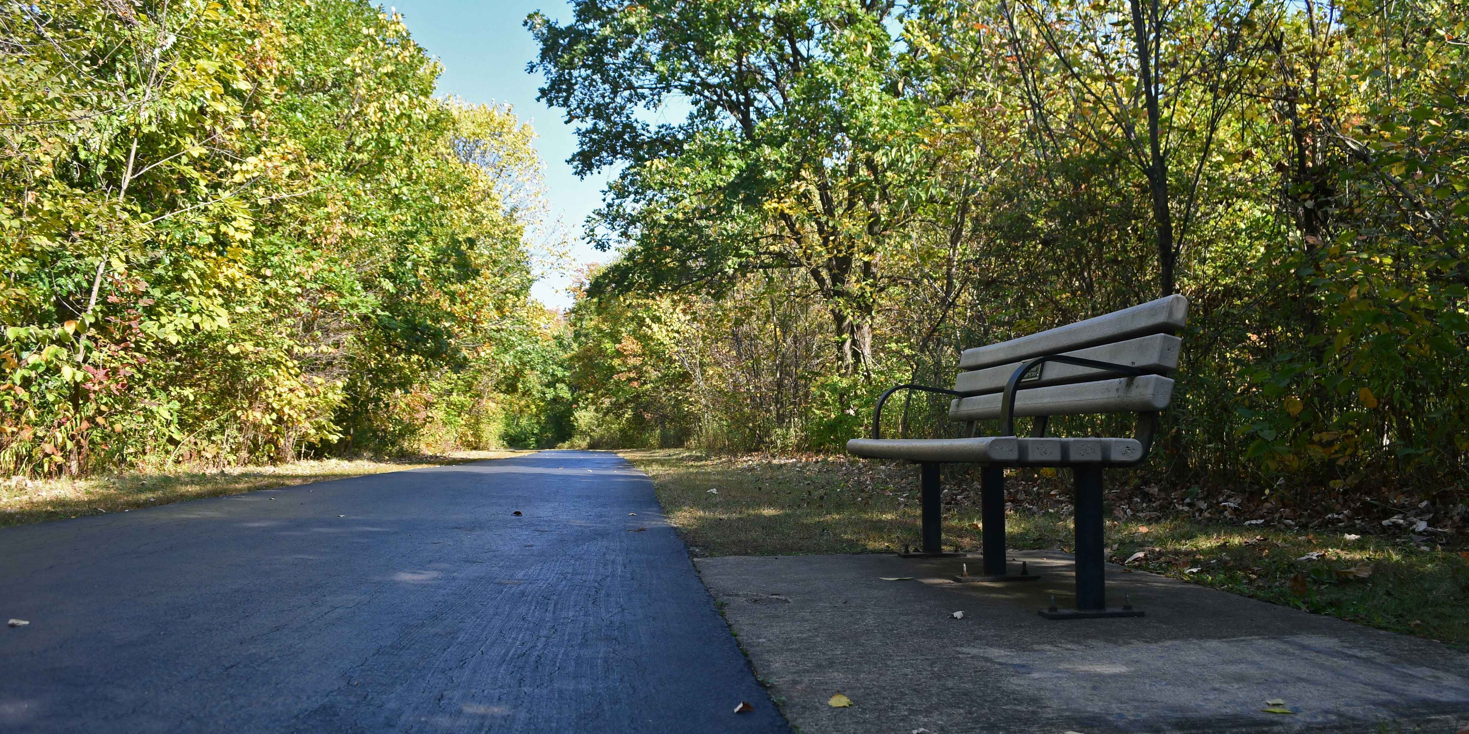 A paved trail winding through an early-autumn forest.