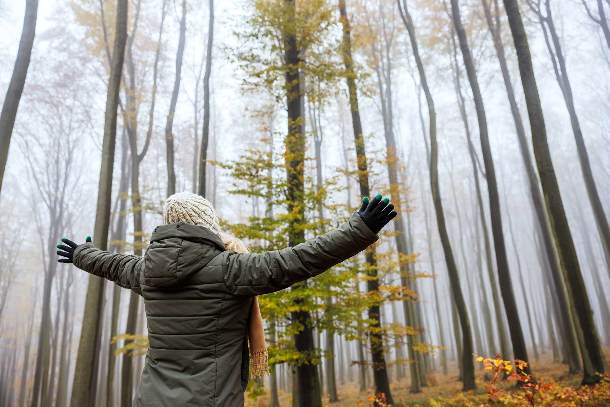 An adult standing in a forest wearing a winter coat and hat with arms outstretched above their head.