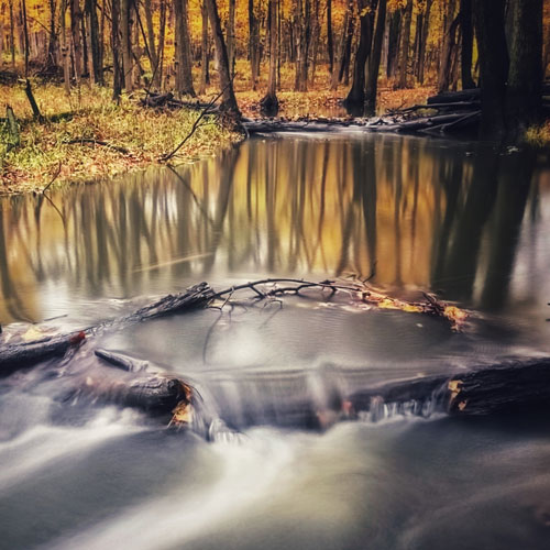 Use these tips for jaw-dropping nature photos