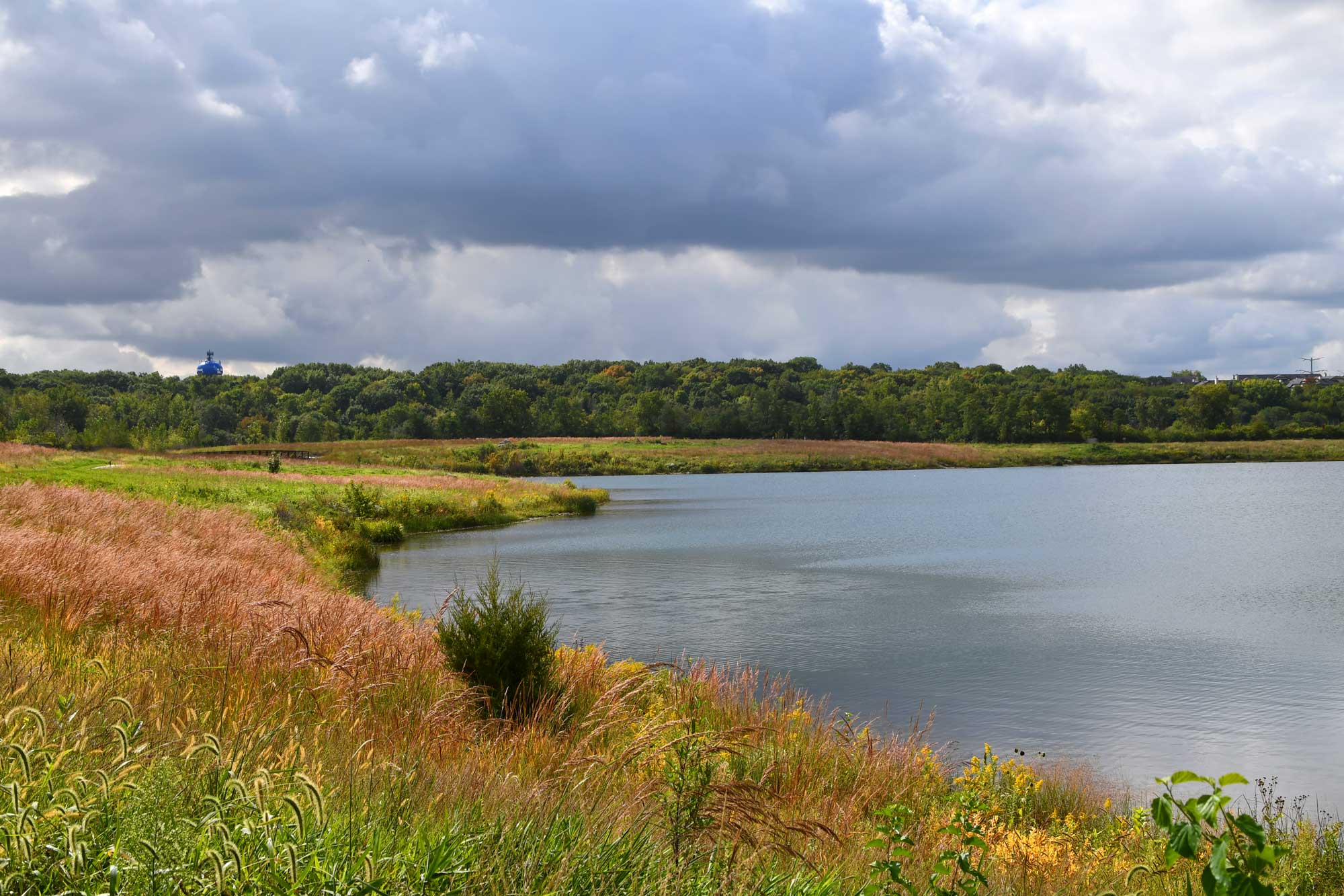 Lake lined by grasses and vegetation with trees in the background.