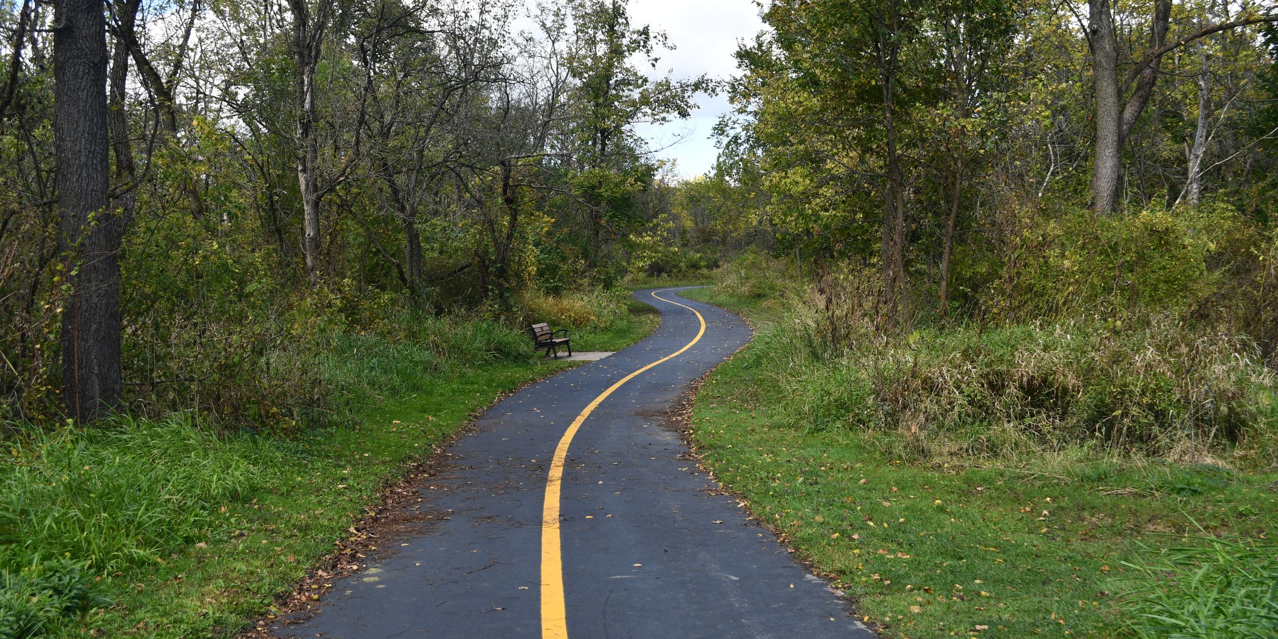 A winding paved trail traveling through an early autumn forest.