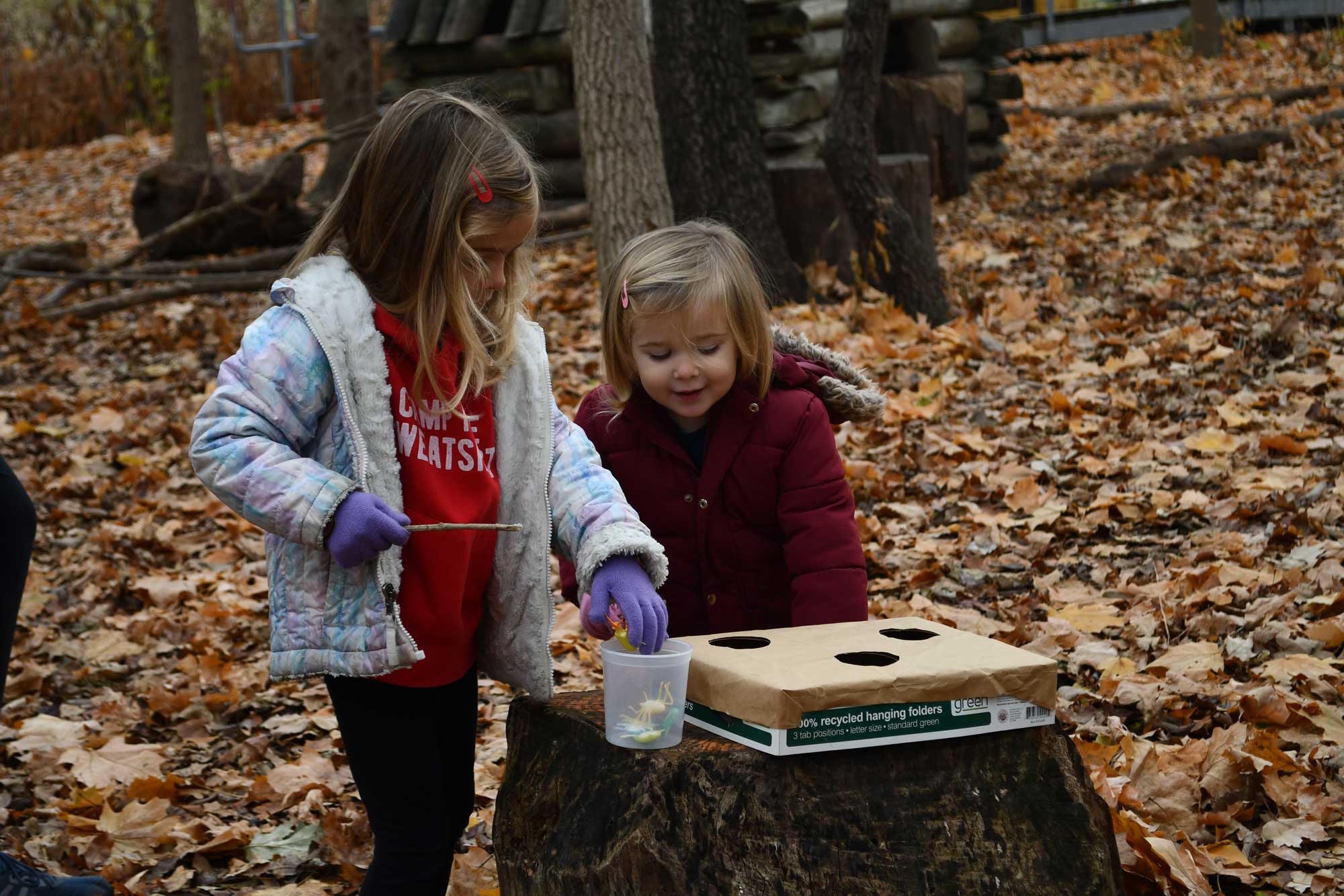 Two young kids playing at a stump in a forest with the ground covered in fallen leaves.