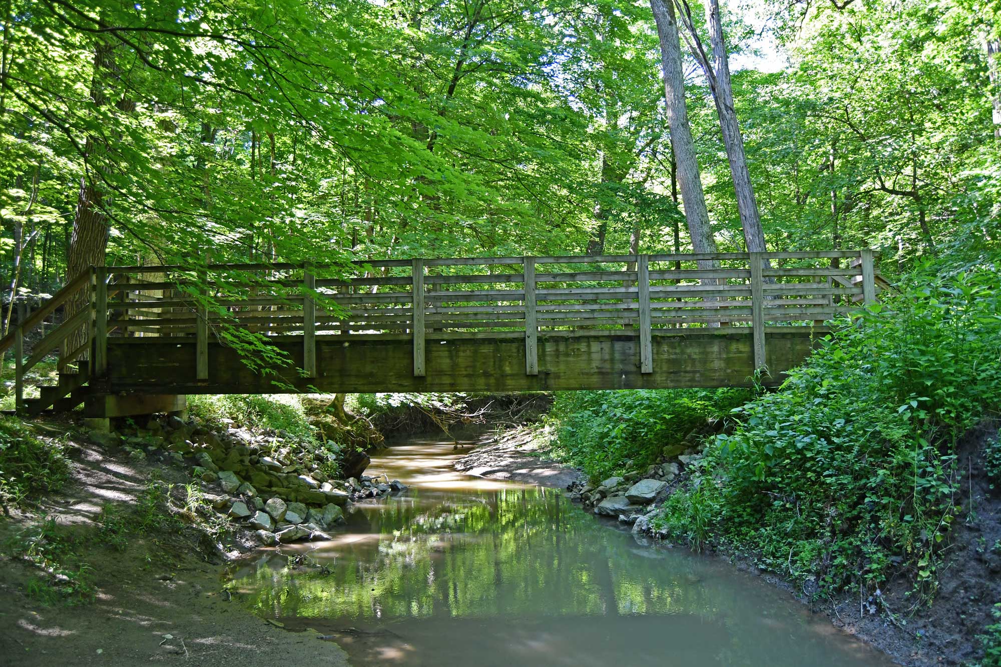 Wooden bridge over creek with trees in the background.
