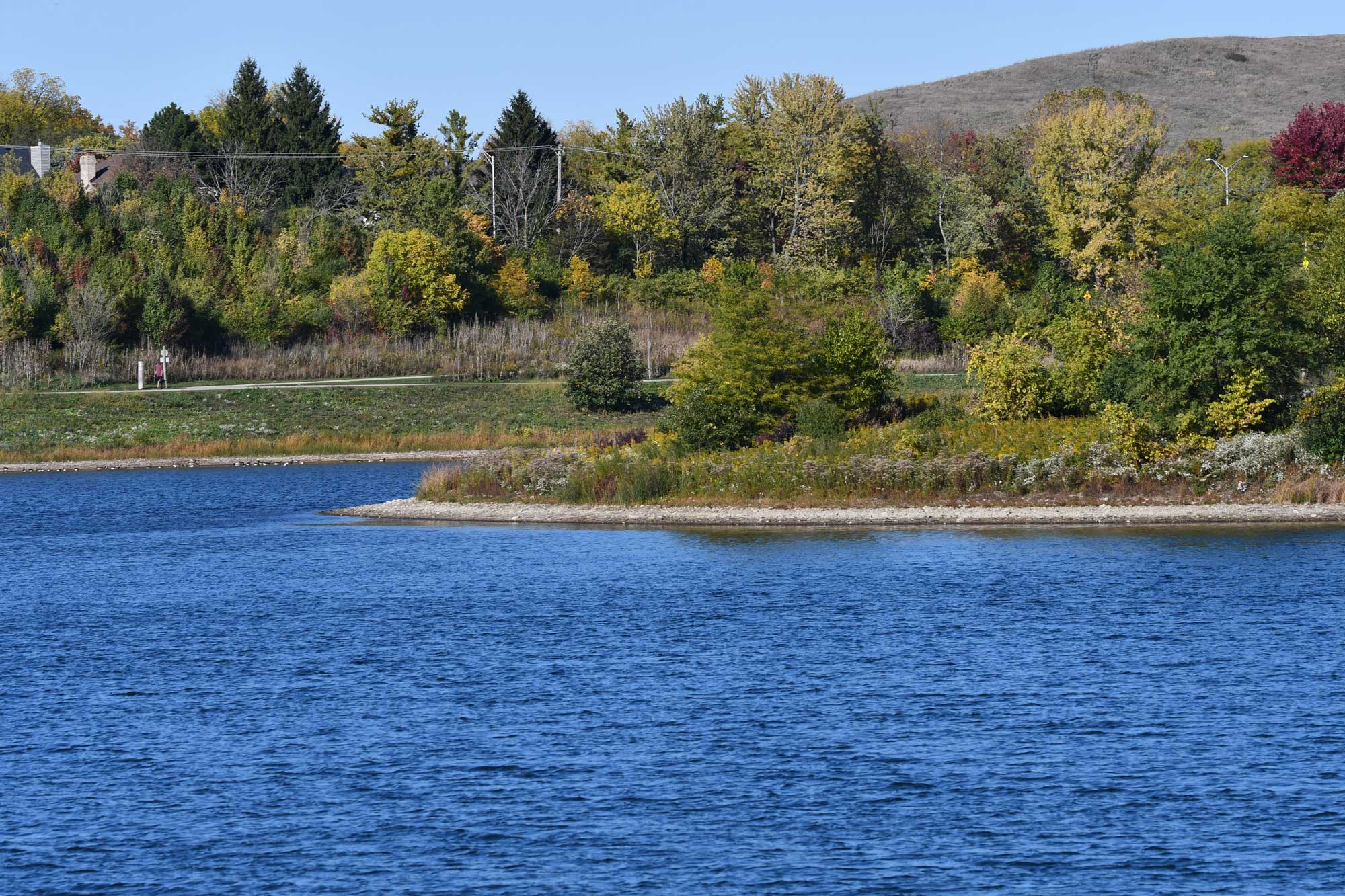 Lake with trees in the background.
