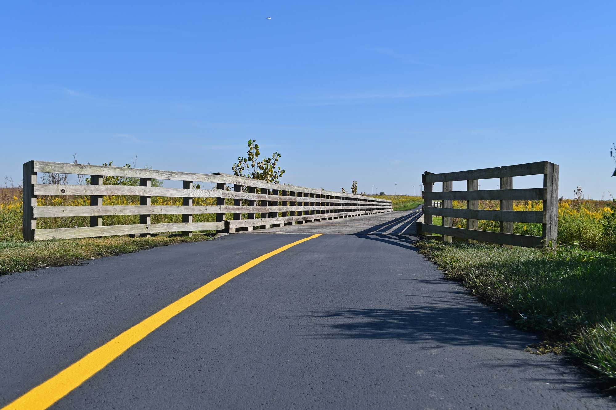 Paved trail with walking bridge with vegetation nearby.