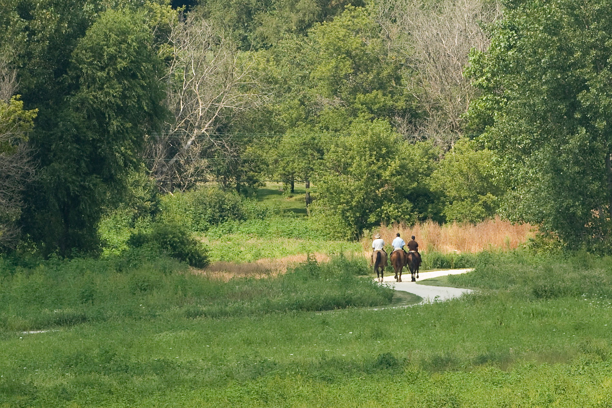 A group of horseback riders on a limestone trail.