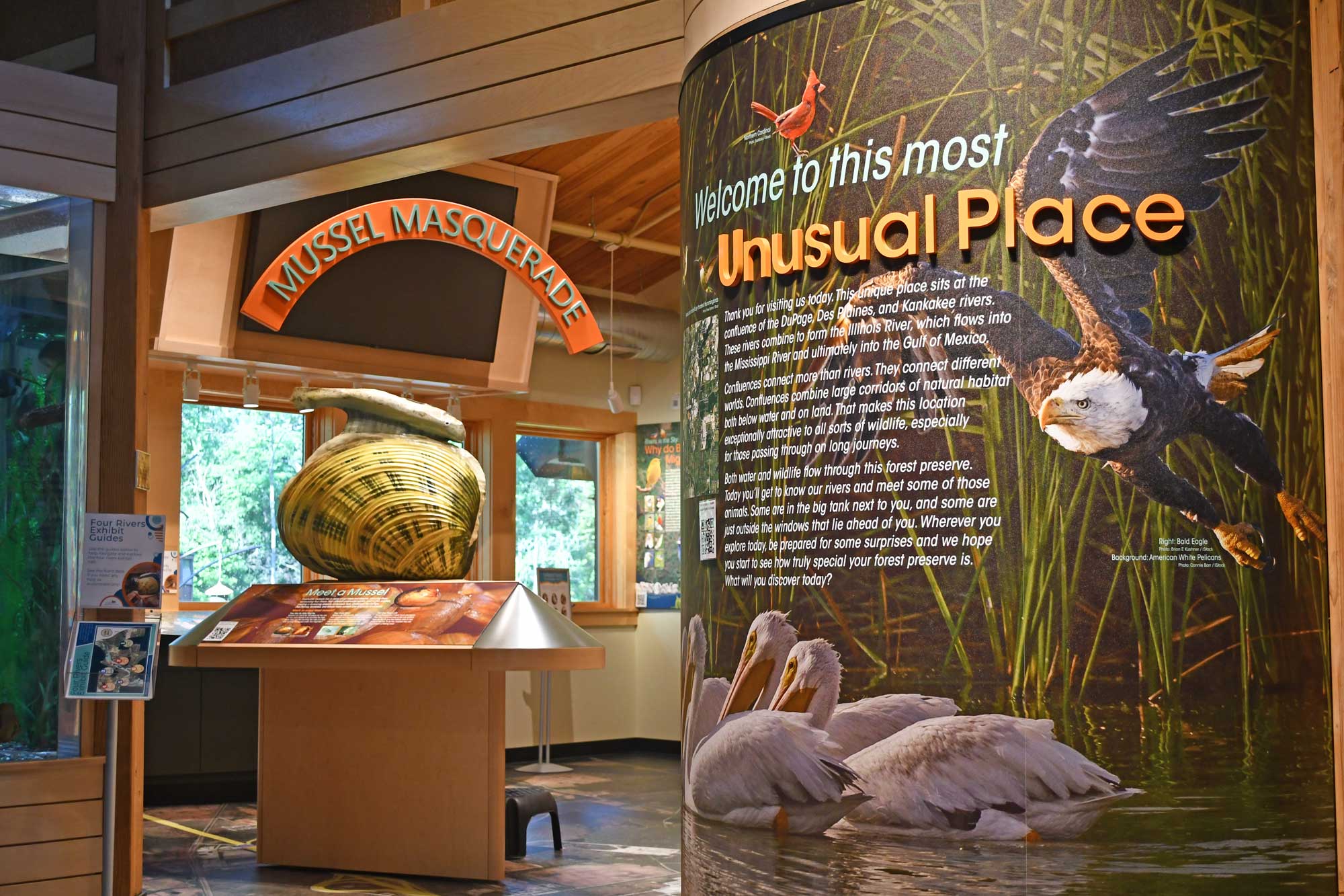 Interactive exhibit area at Four Rivers nature center.