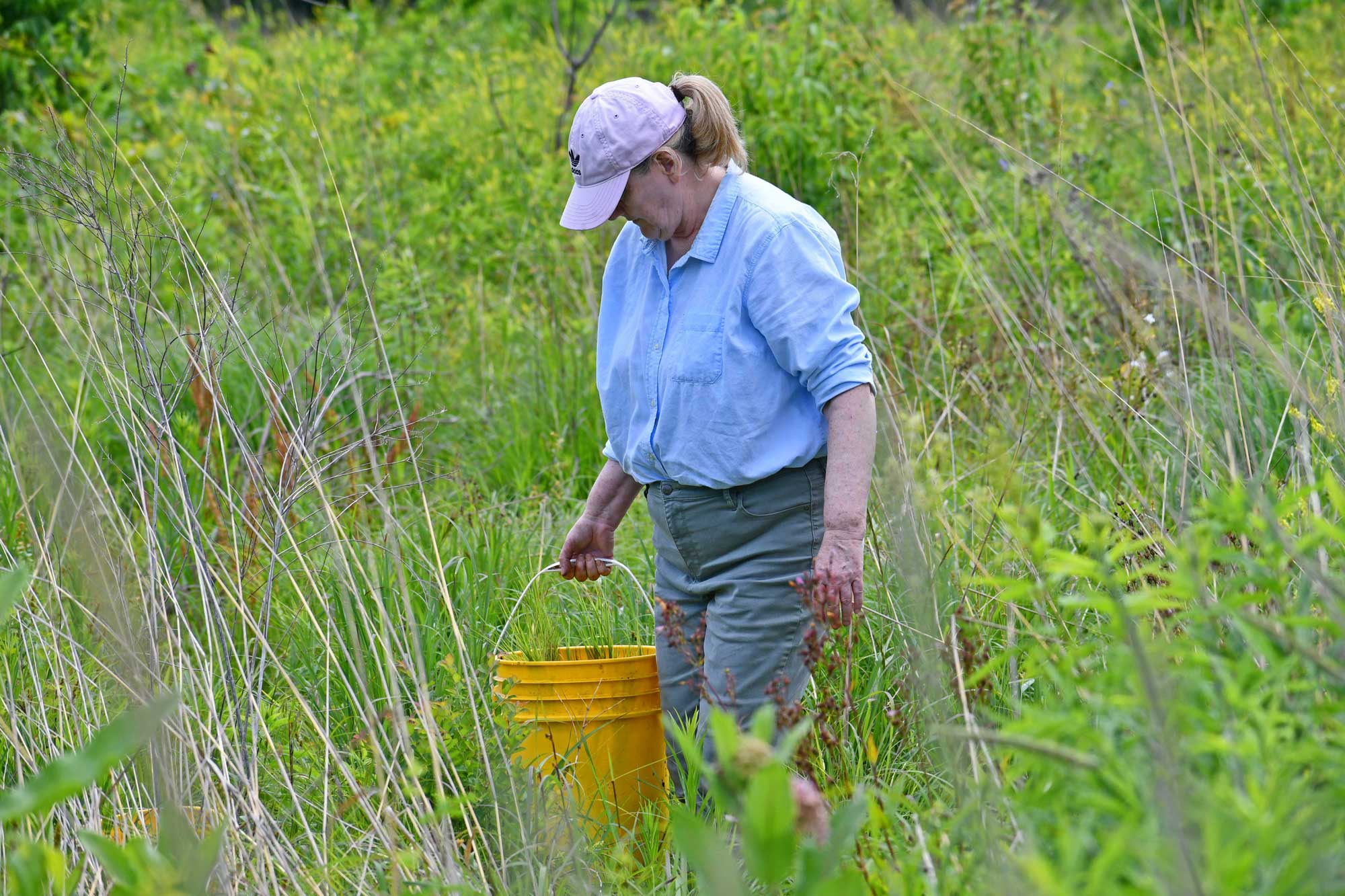 A person carrying a yellow 5-gallon bucket while walking through a grassy area.