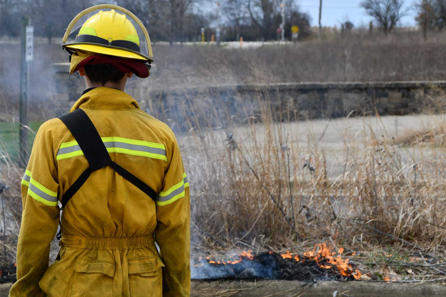Person in fire gear standing near a prescribed burn.