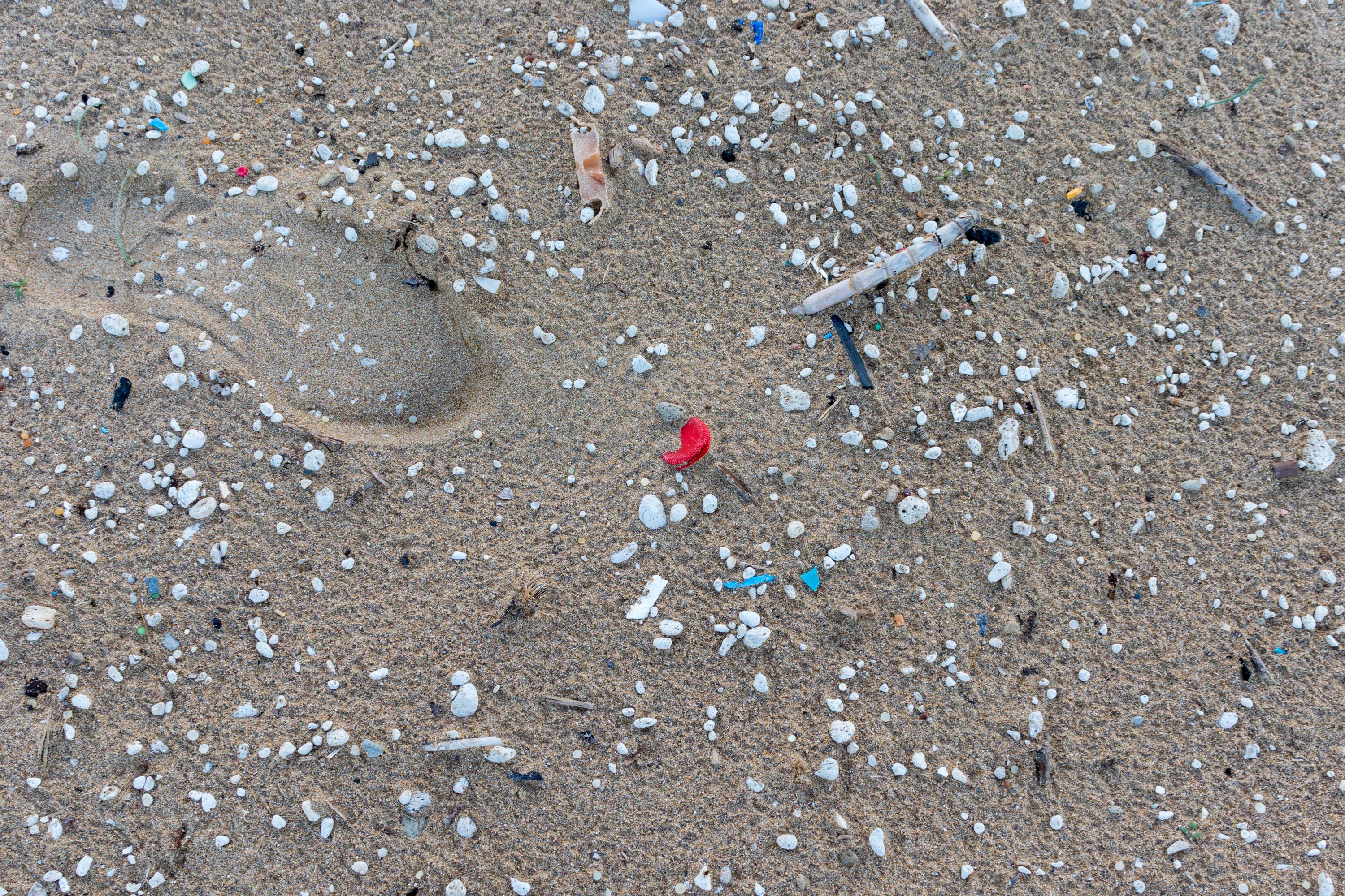 Microplastics mixed in with sand on a beach.