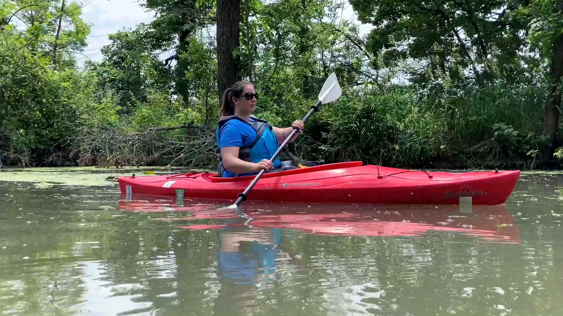 A person in a blue shirt and life vest paddling a red kayak in calm water. Trees on the shoreline are in the background.