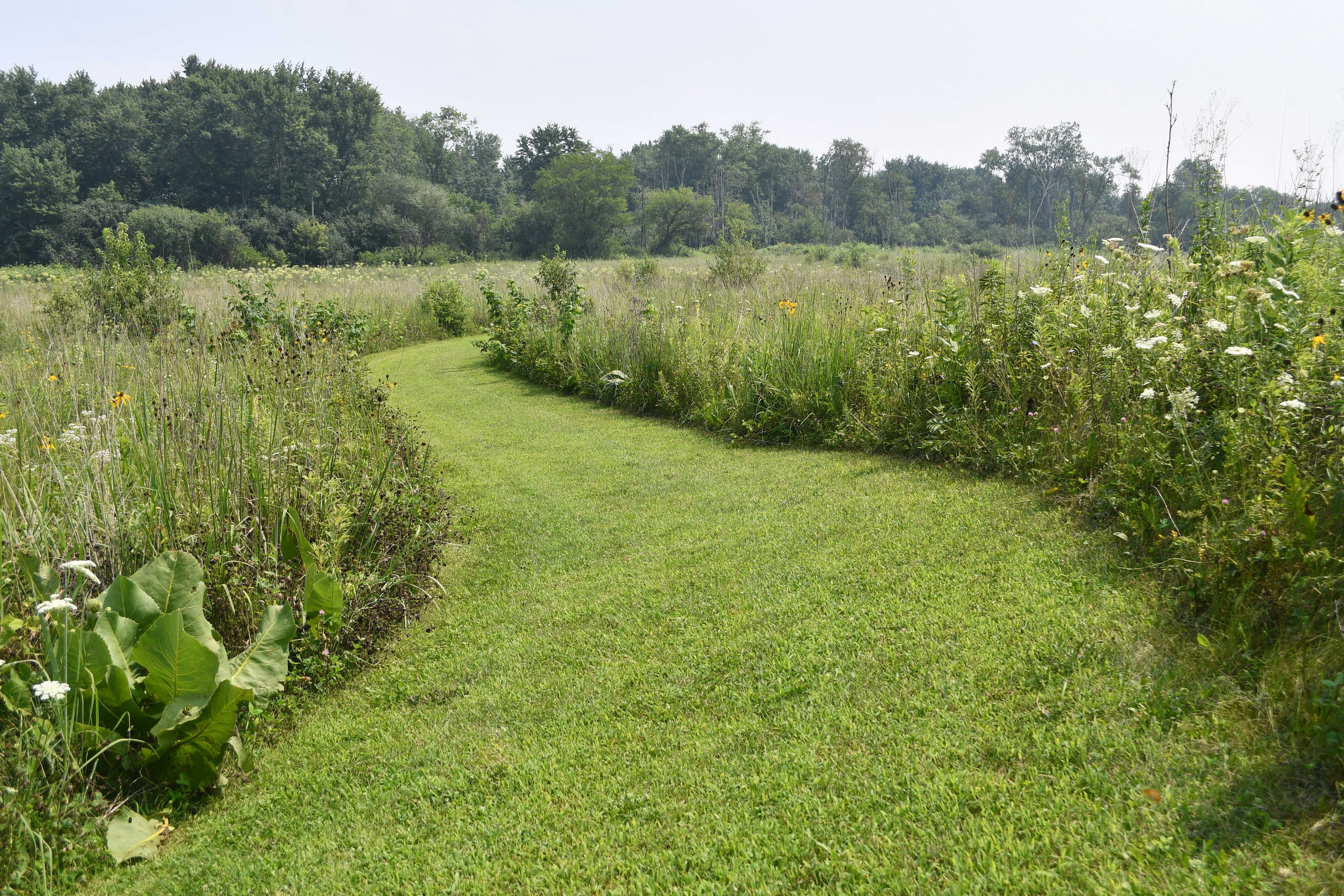Be a Trailblazer: Hike Sugar Creek