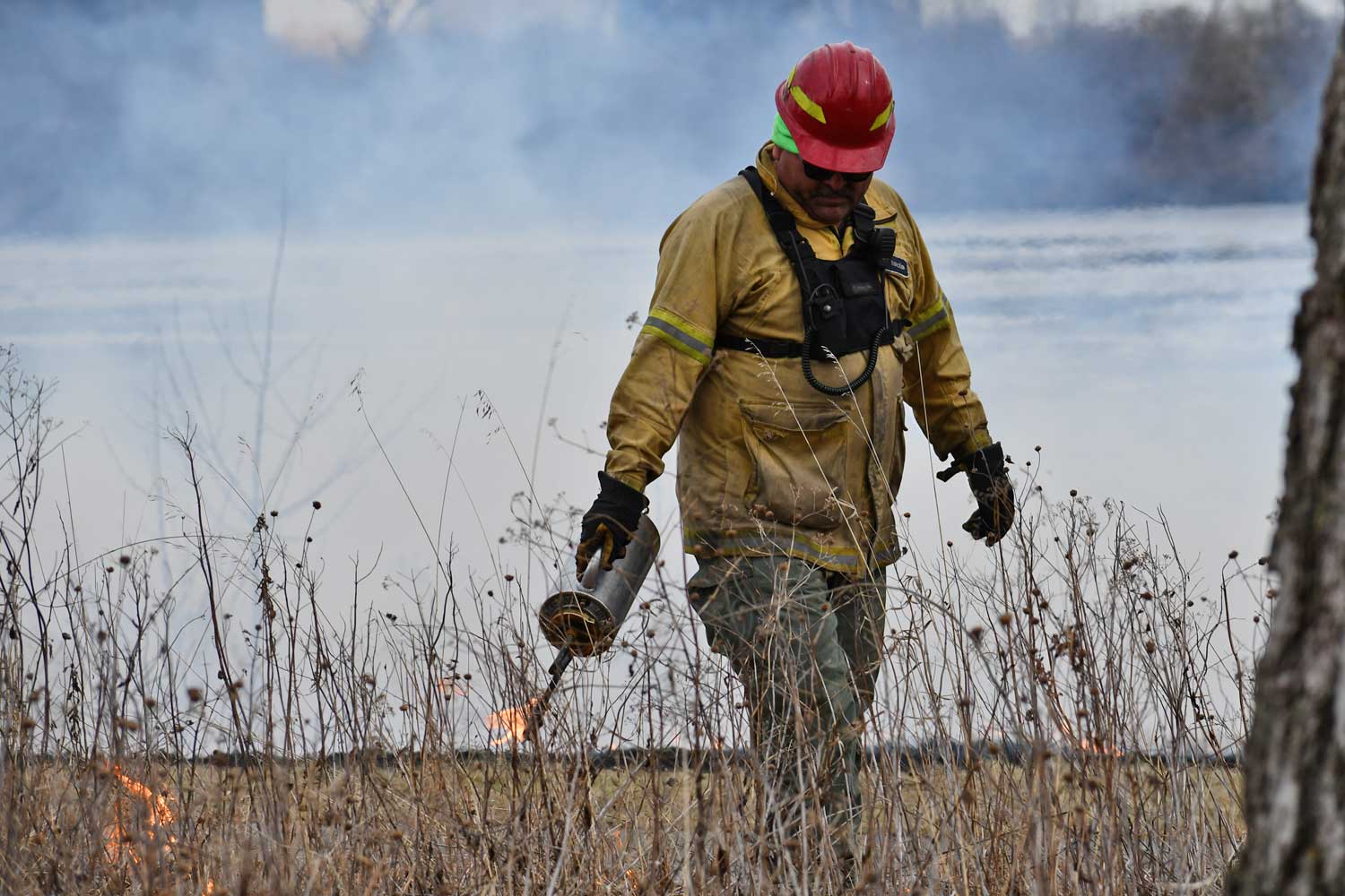 Person in fire gear conducting a prescribed burn.