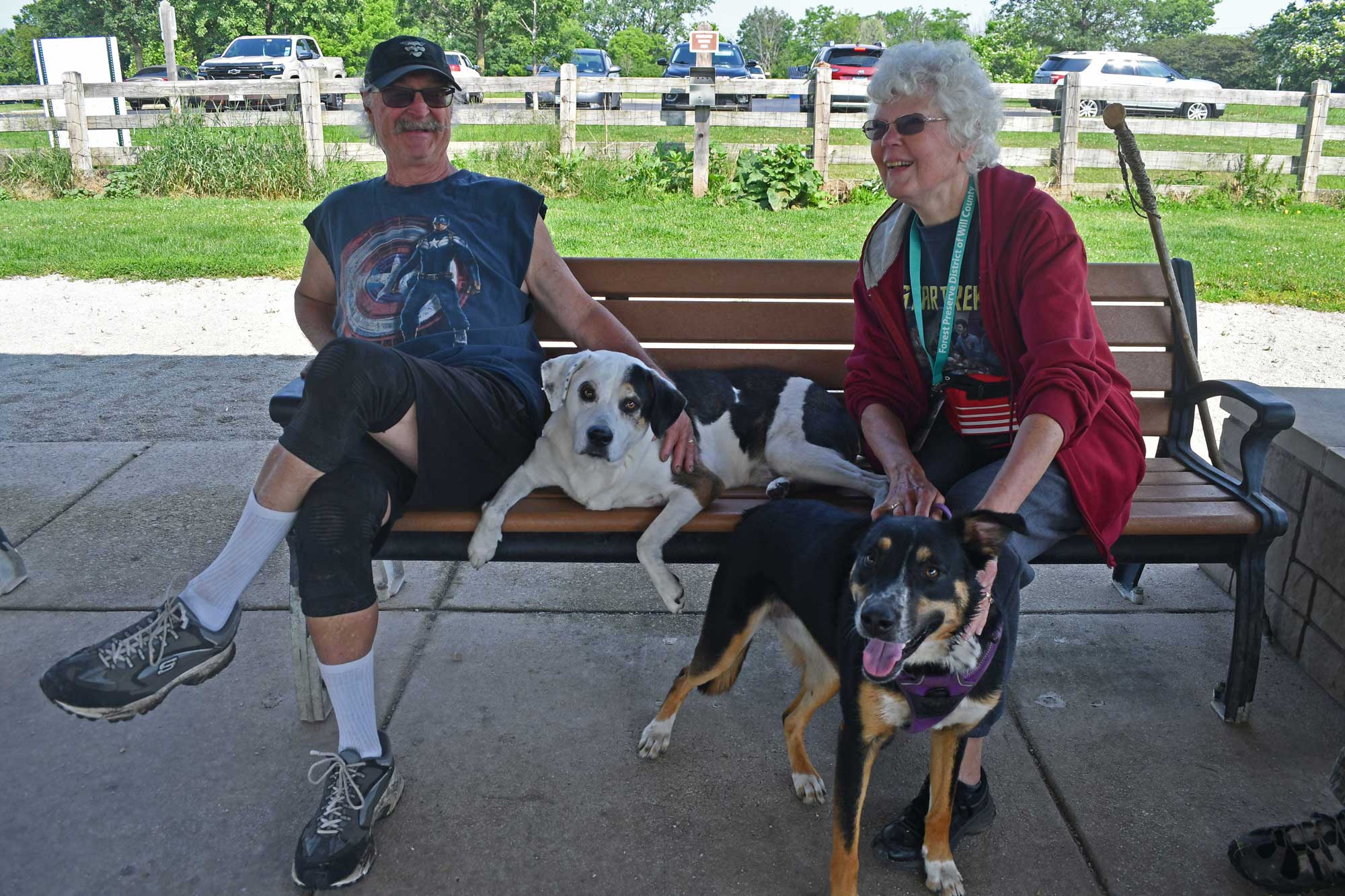 Two people sitting with two dogs on a bench in a dog park.