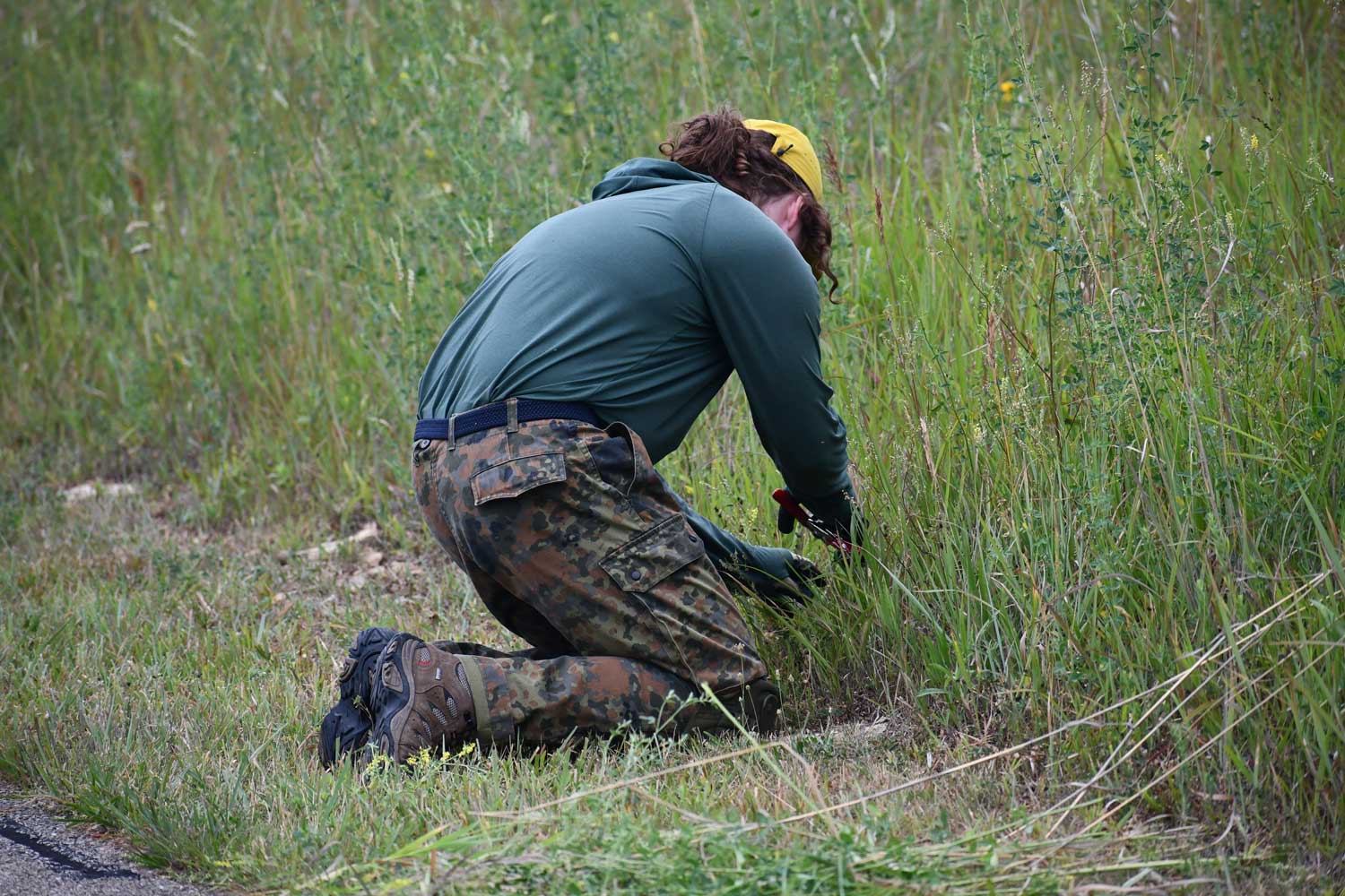 A person kneeling in the grass while working with a tool to remove a plant.