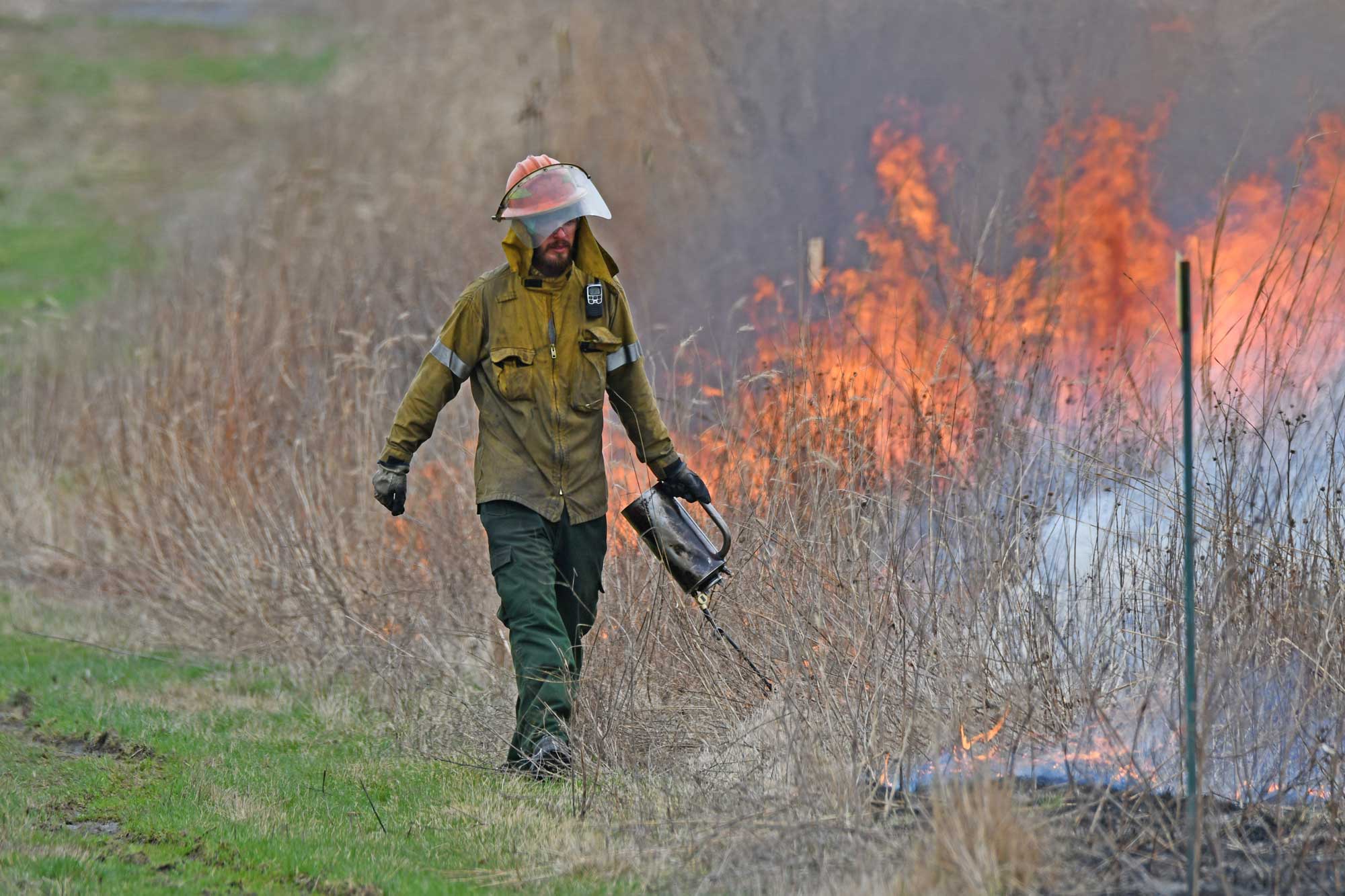 A person conducting a prescribed burn.