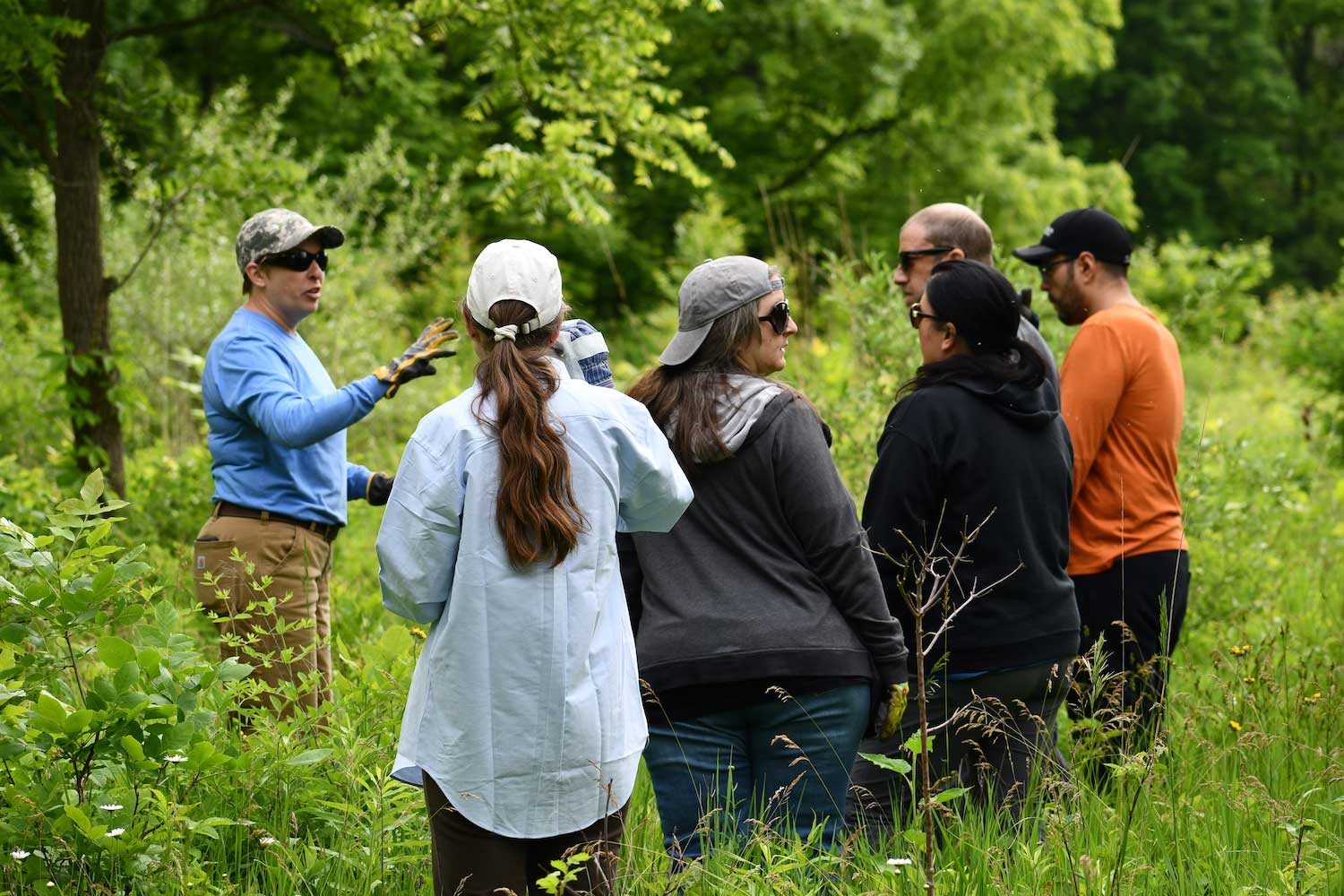 A person talking to a group of five adults in an area with green trees, grasses and plants.