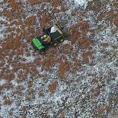Winter seeding leads to spring sprouts