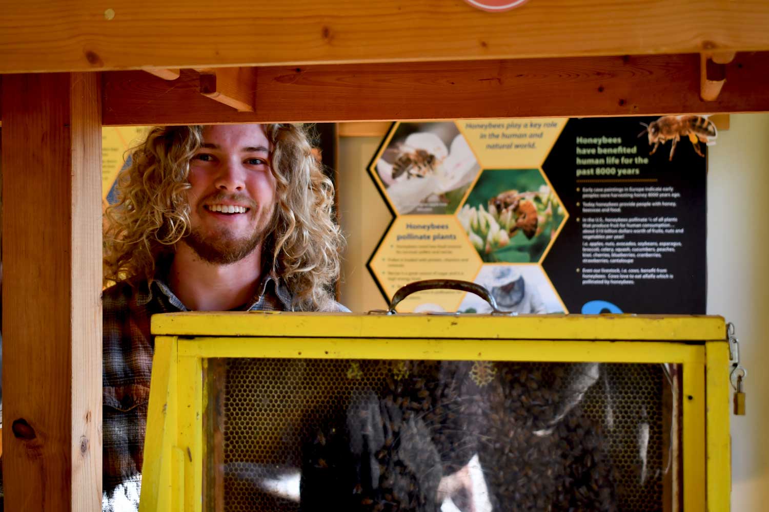 A person standing behind a yellow educational hive with a sign about bees and beekeeping.
