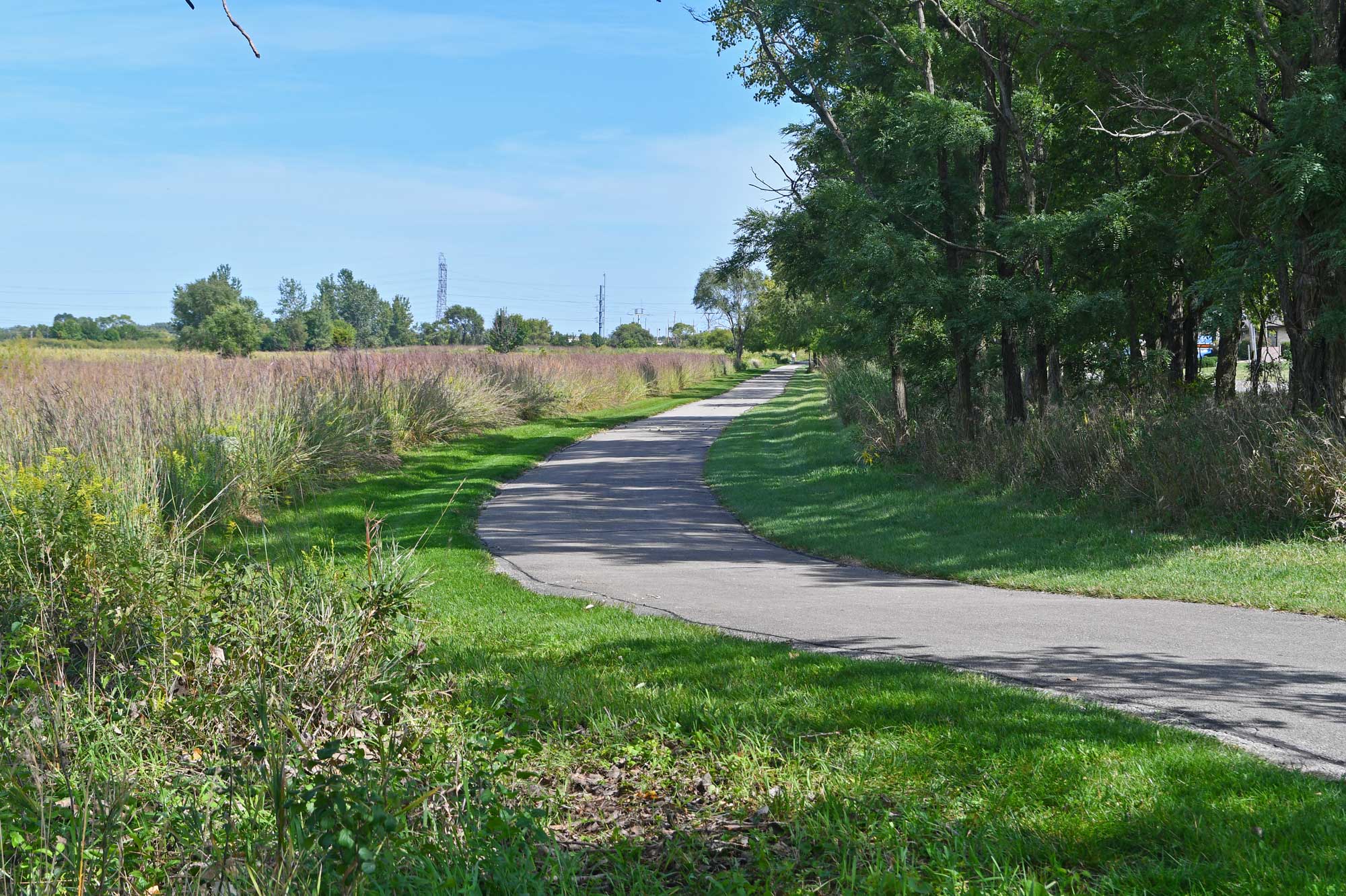Paved trail lined by trees, vegetation, and grass.