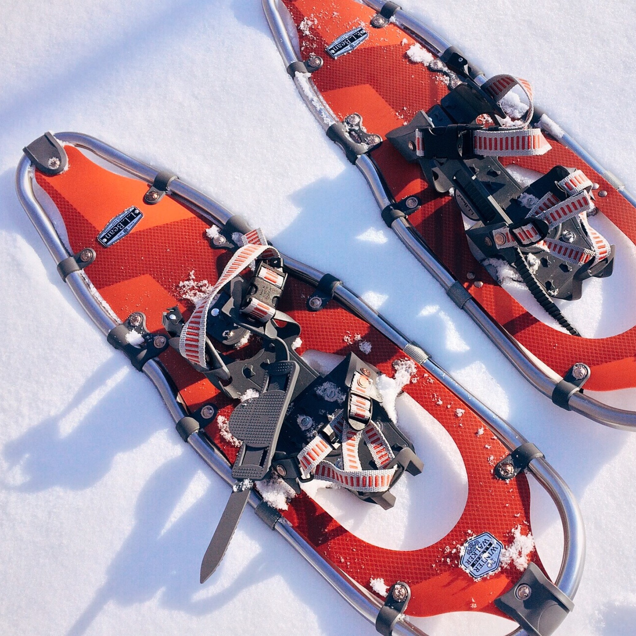 A close-up of snowshoes in the snow.
