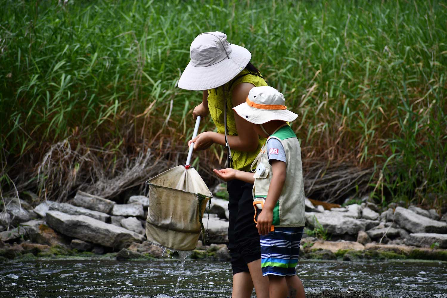 An adult and child looking into a dip net just pulled from the water. 