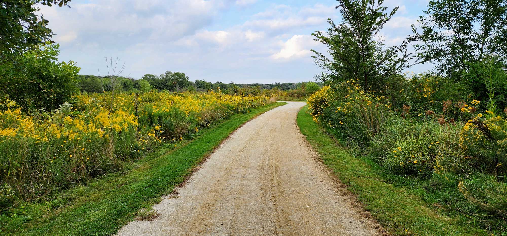 Limestone trail lined with grasses, vegetation, and trees.