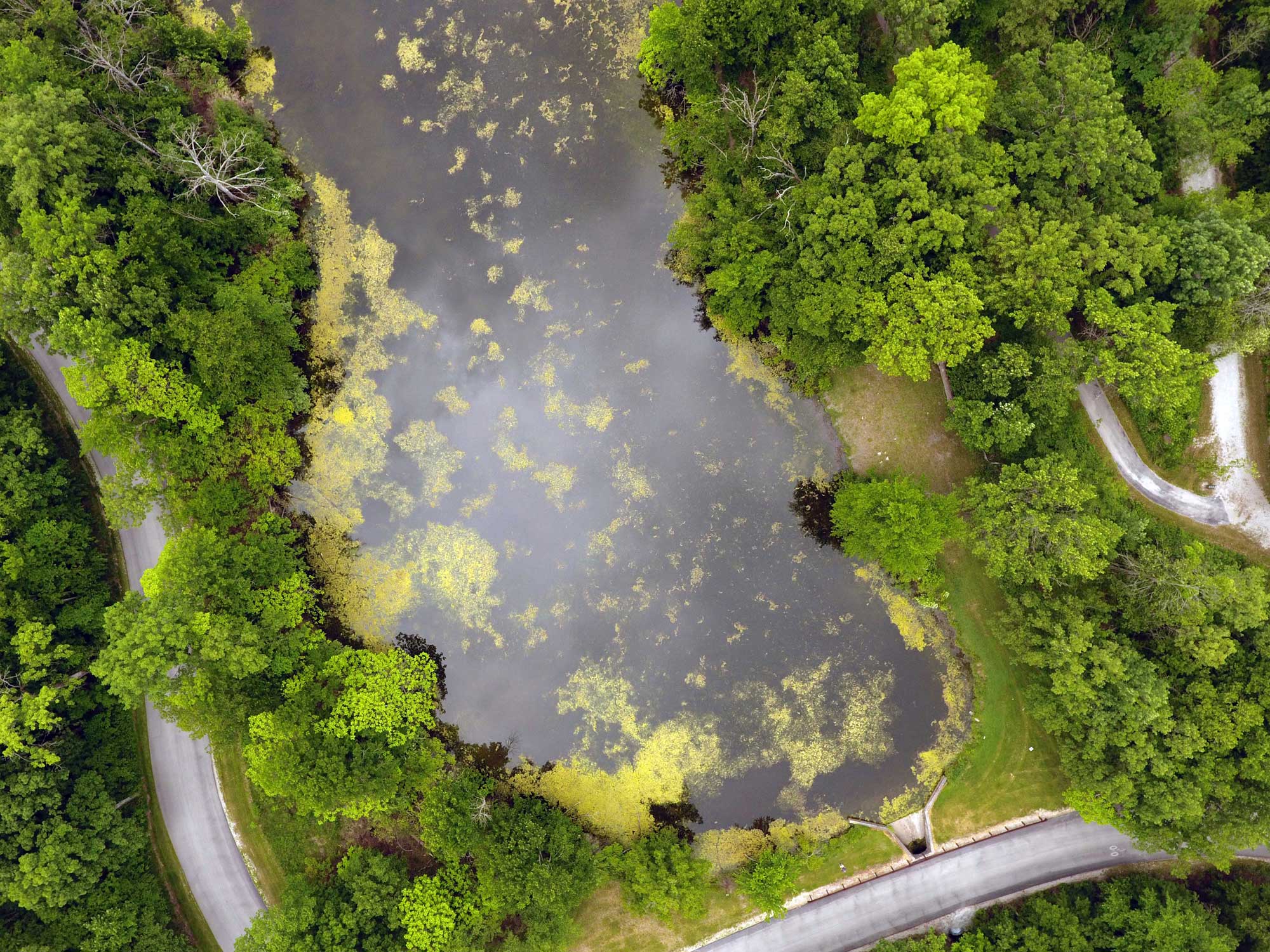 Aerial of Snapper Pond at Goodenow Grove.