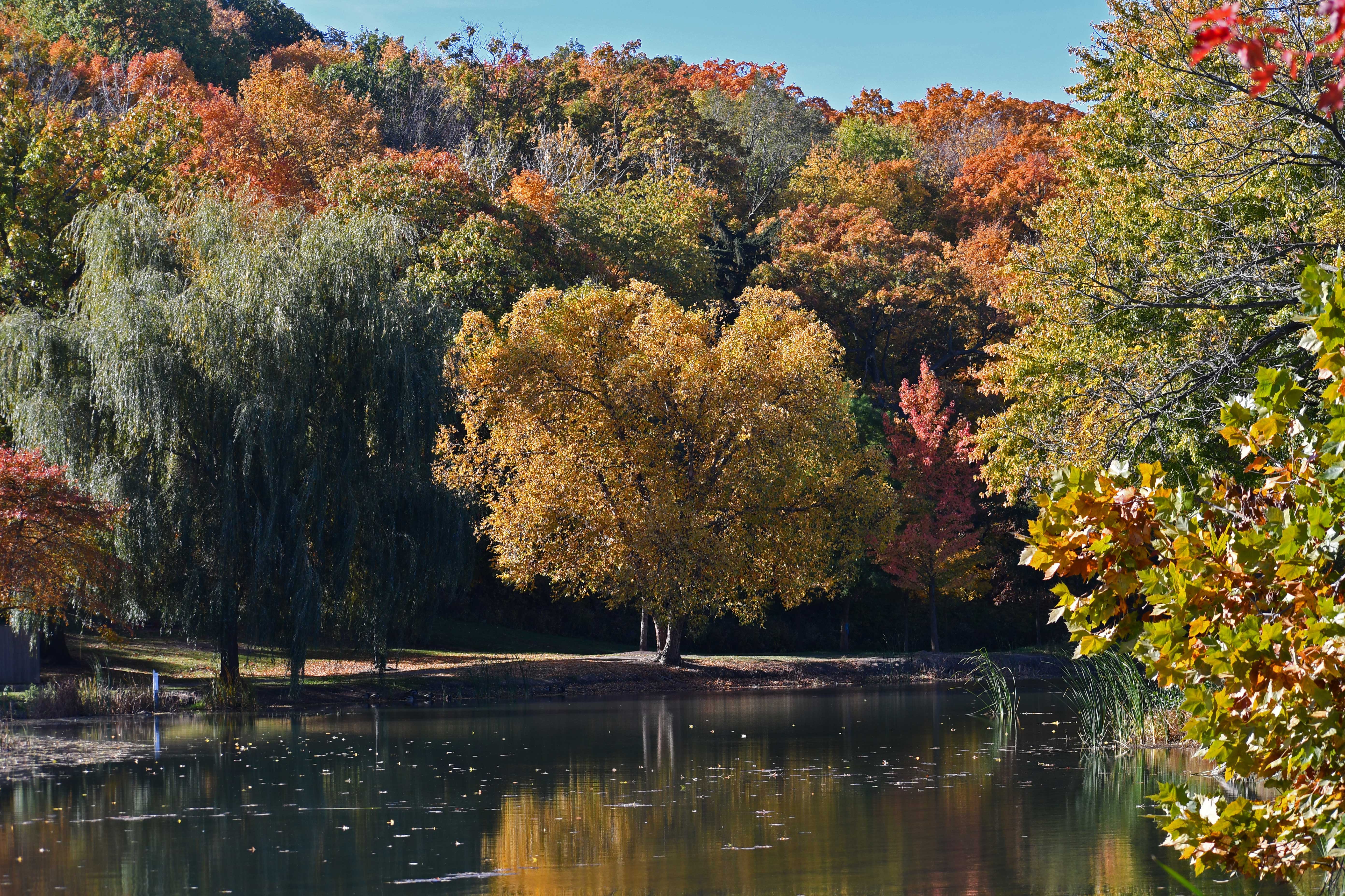 Hidden Oaks Preserve: A lot packed into a small space