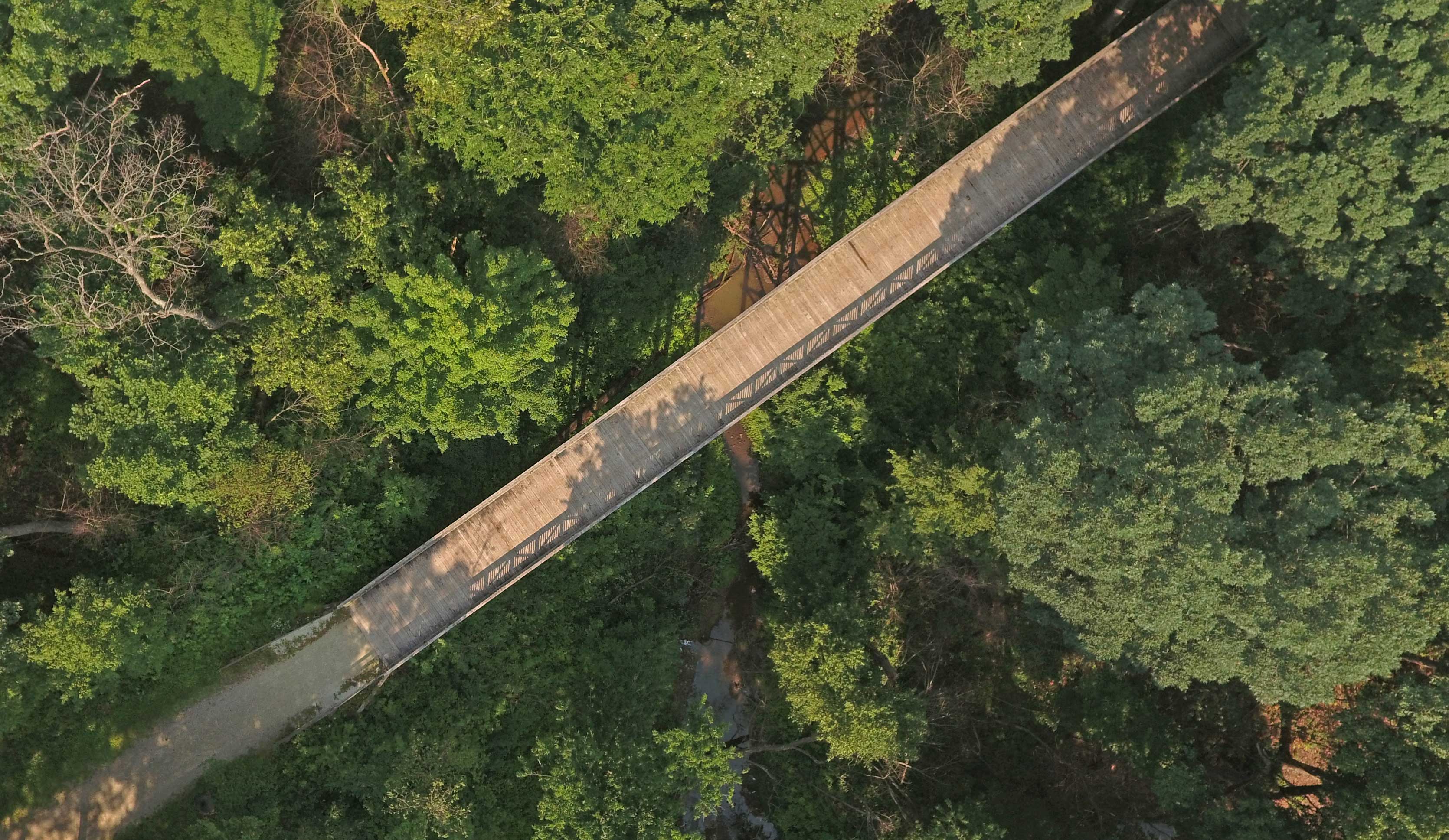 An aerial view of a long wooden bridge surrounded my a green tree canopy.