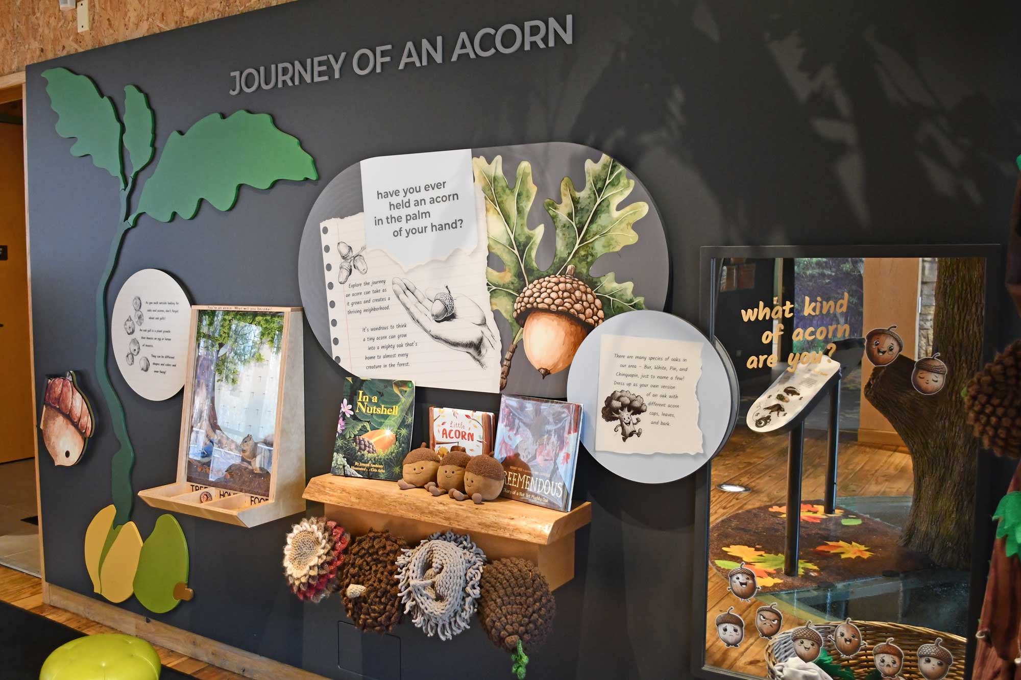 Interactive exhibit inside nature center.