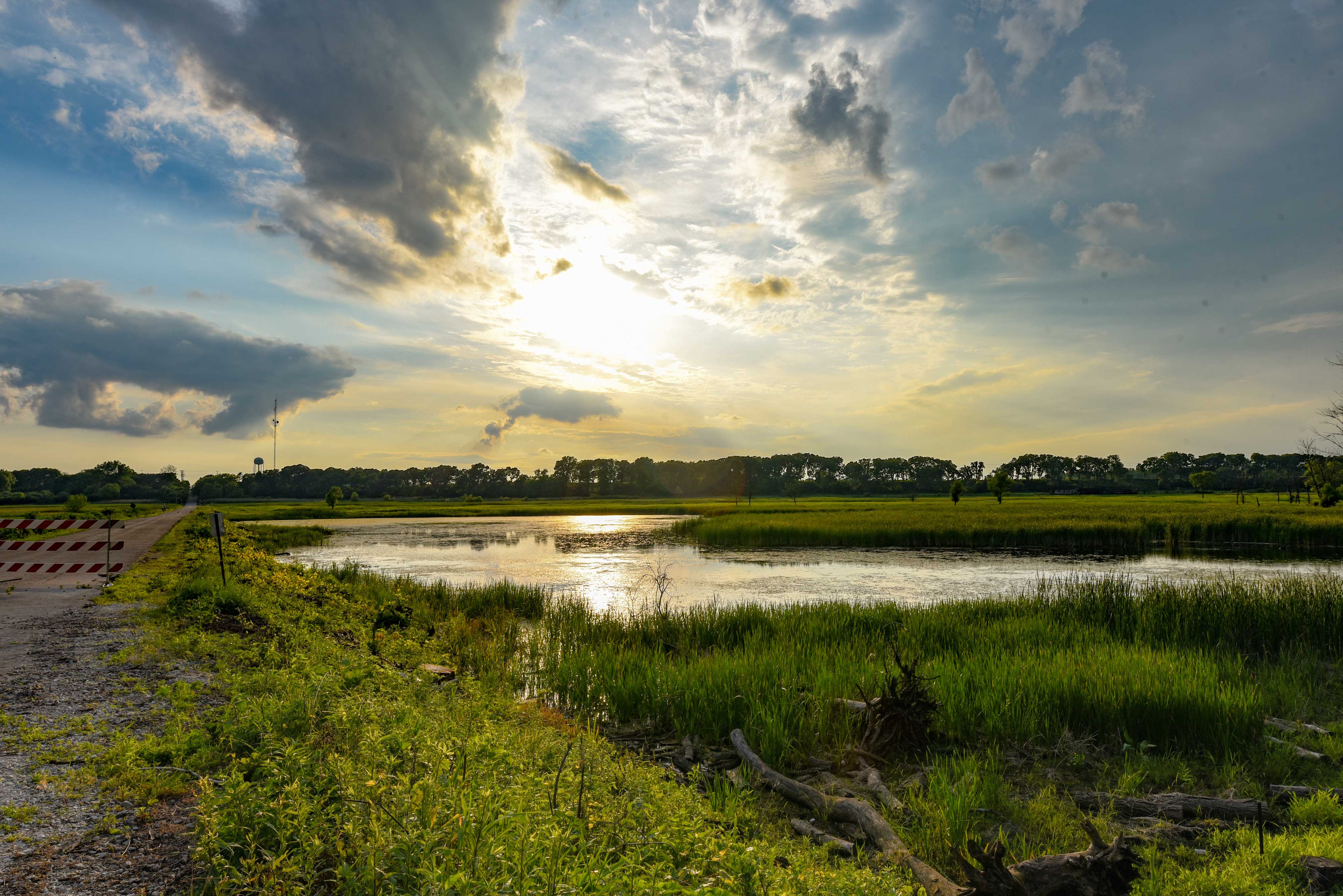 Scenic view of the water at Lockport Prairie Nature Preserve.