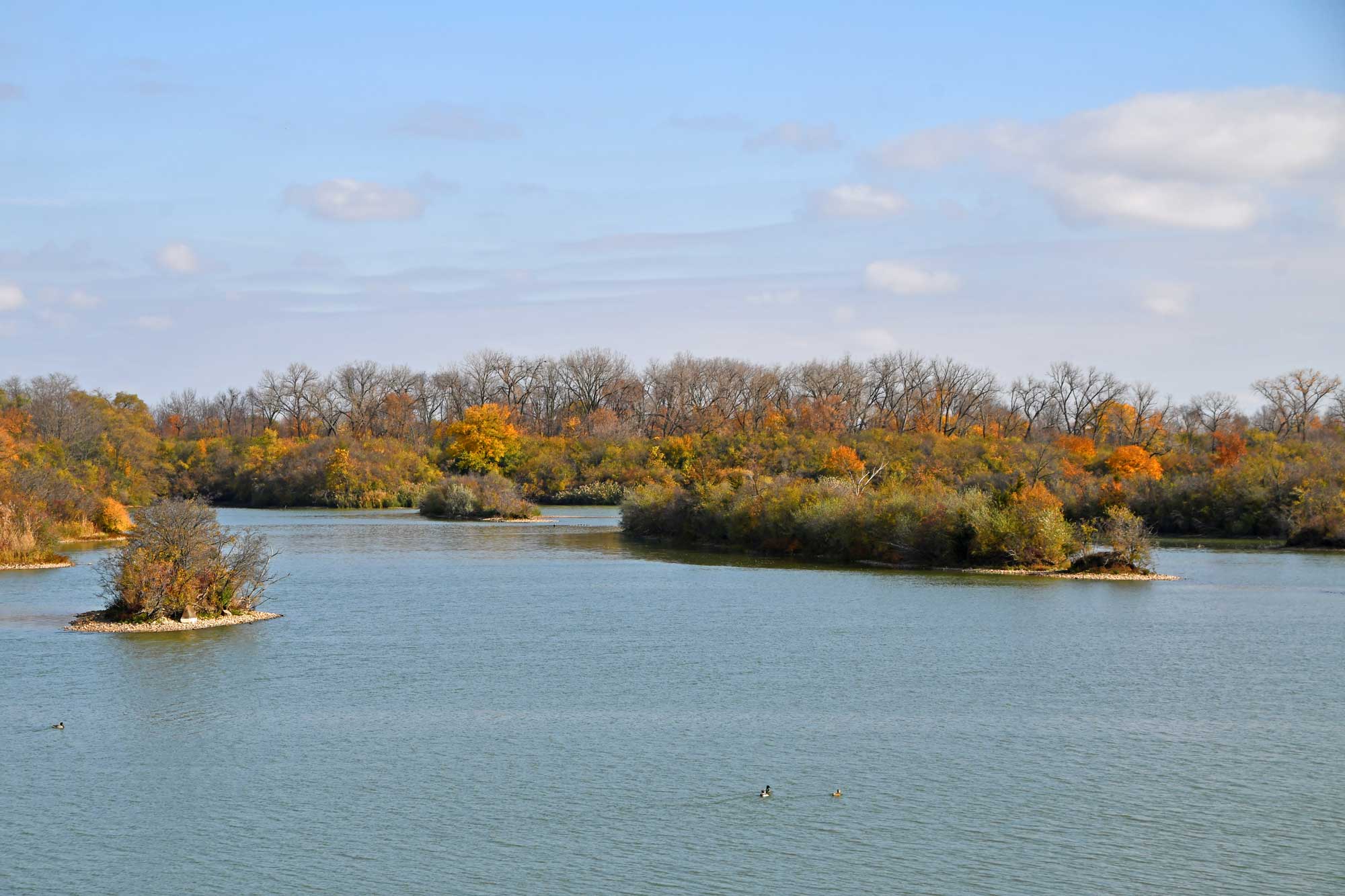 Lake with fall colored trees in the background.