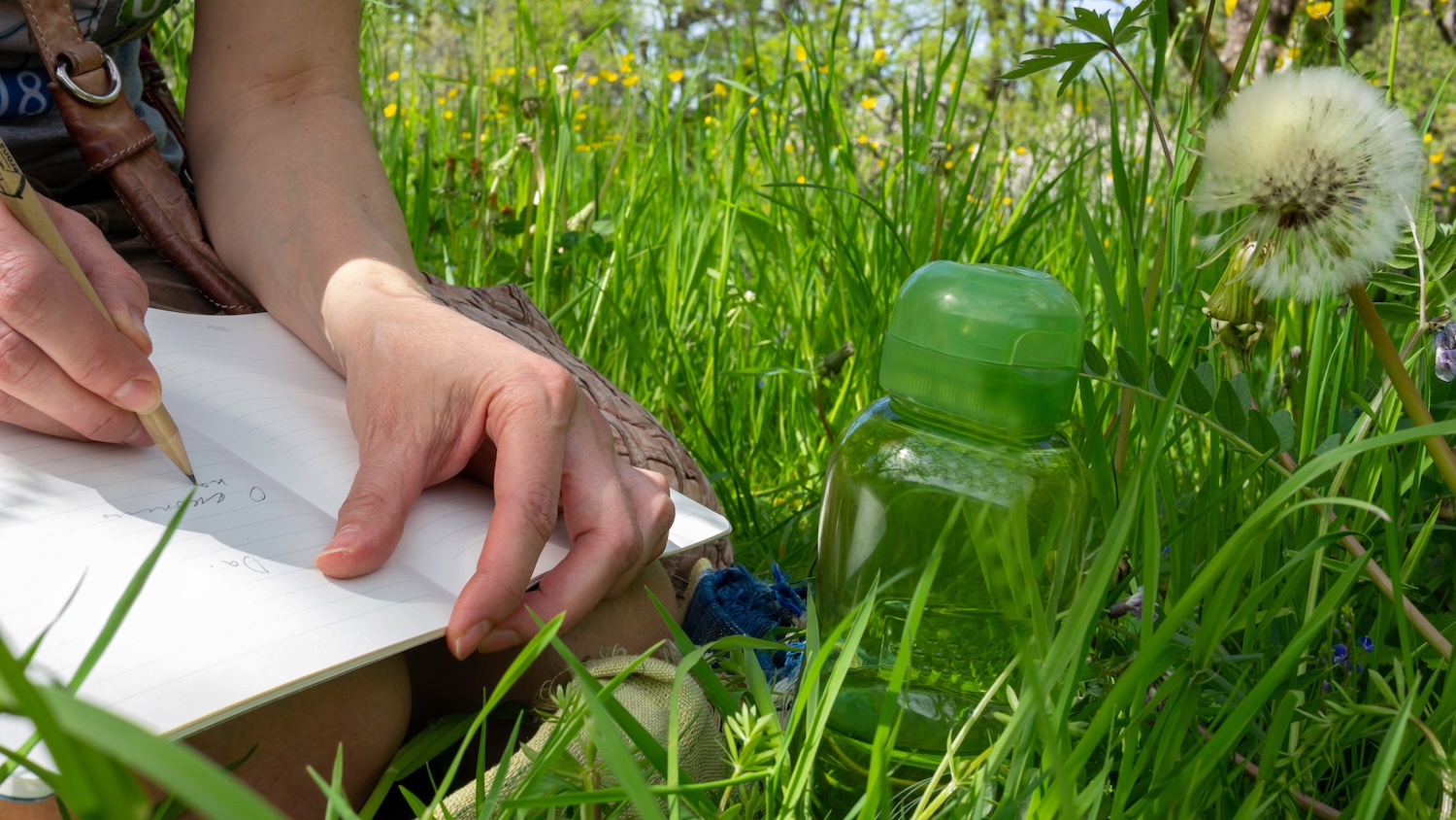 A closeup view of a someone writing in a nature journal while sitting in green grass.