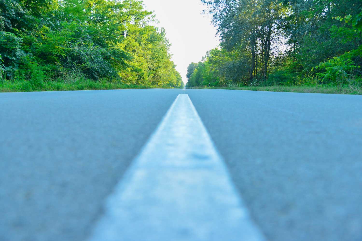 A close up of the white center line on an empty road. Trees line both sides of the road.
