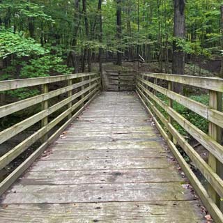 Saving Thorn Creek Woods took hard work and a bit of luck