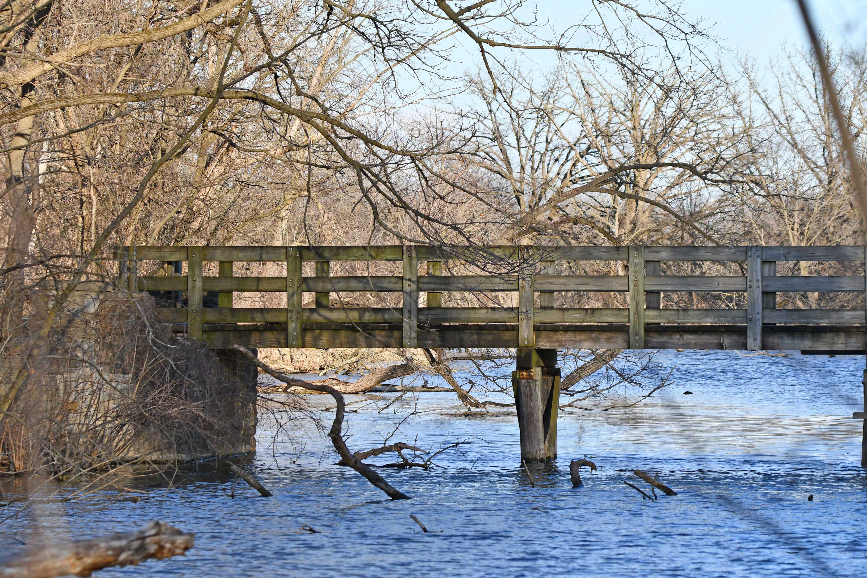 Bridge-McKinley-Woods-Anthony-Schalk.jpg