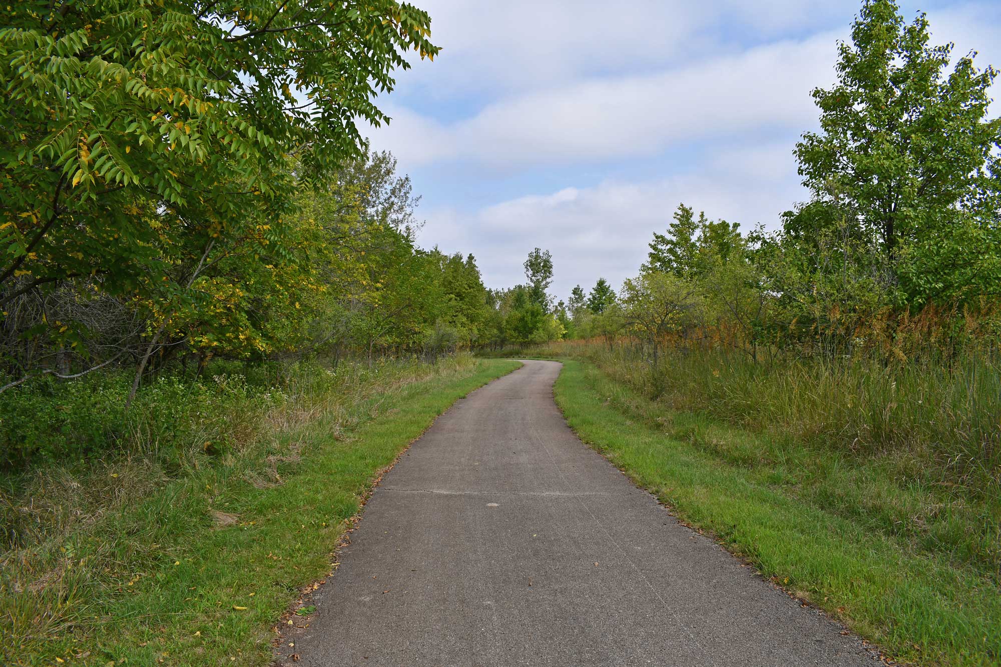 Paved trail lined with grasses and trees.