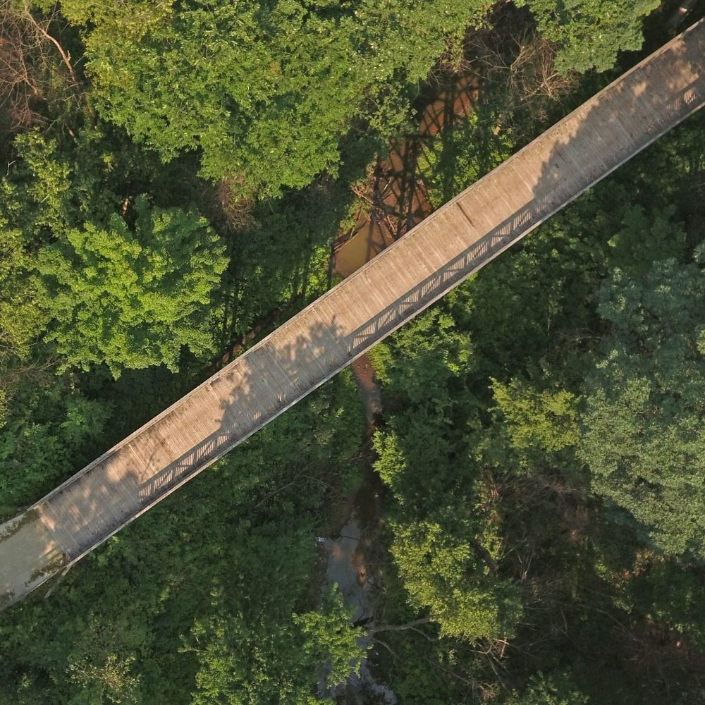 An aerial view shows a long wooden boardwalk crossing over a wooded creek surrounded by dense green trees.
