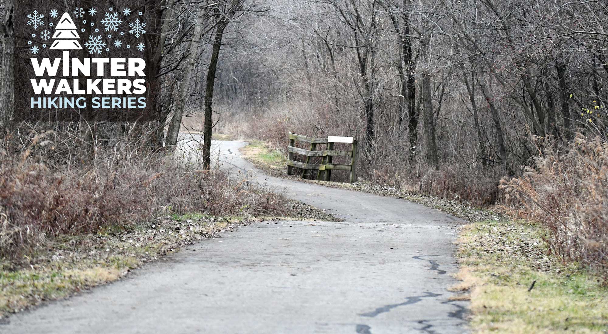 A paved trail lined with bare trees.