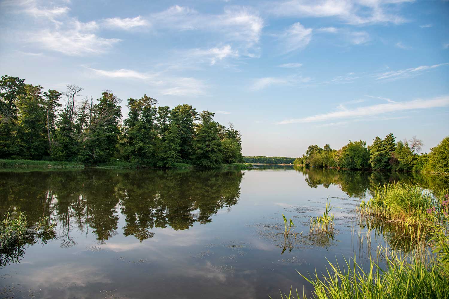 A landscape of a river lined with trees and grasses under a blue sky dotted with clouds.