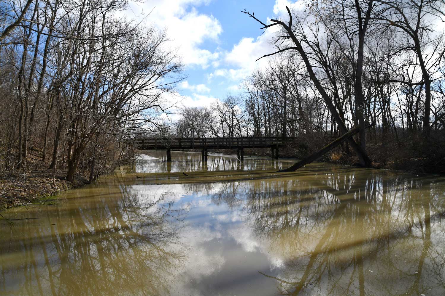 A canal lined by trees with a wooden bridge in the distance.