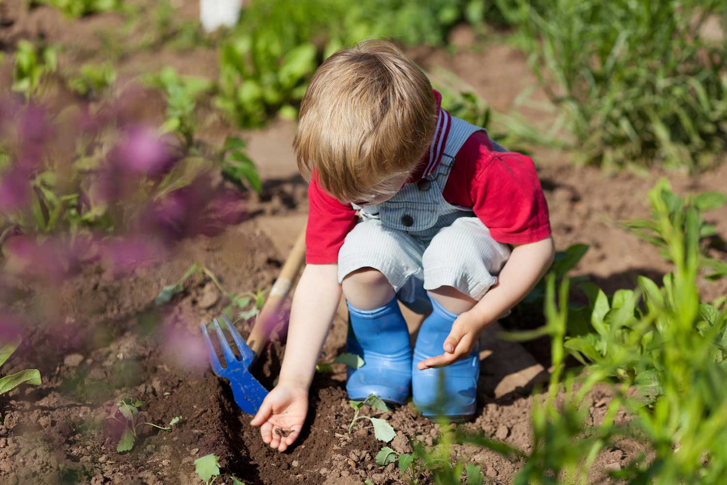 A young child planting seeds in the soil.